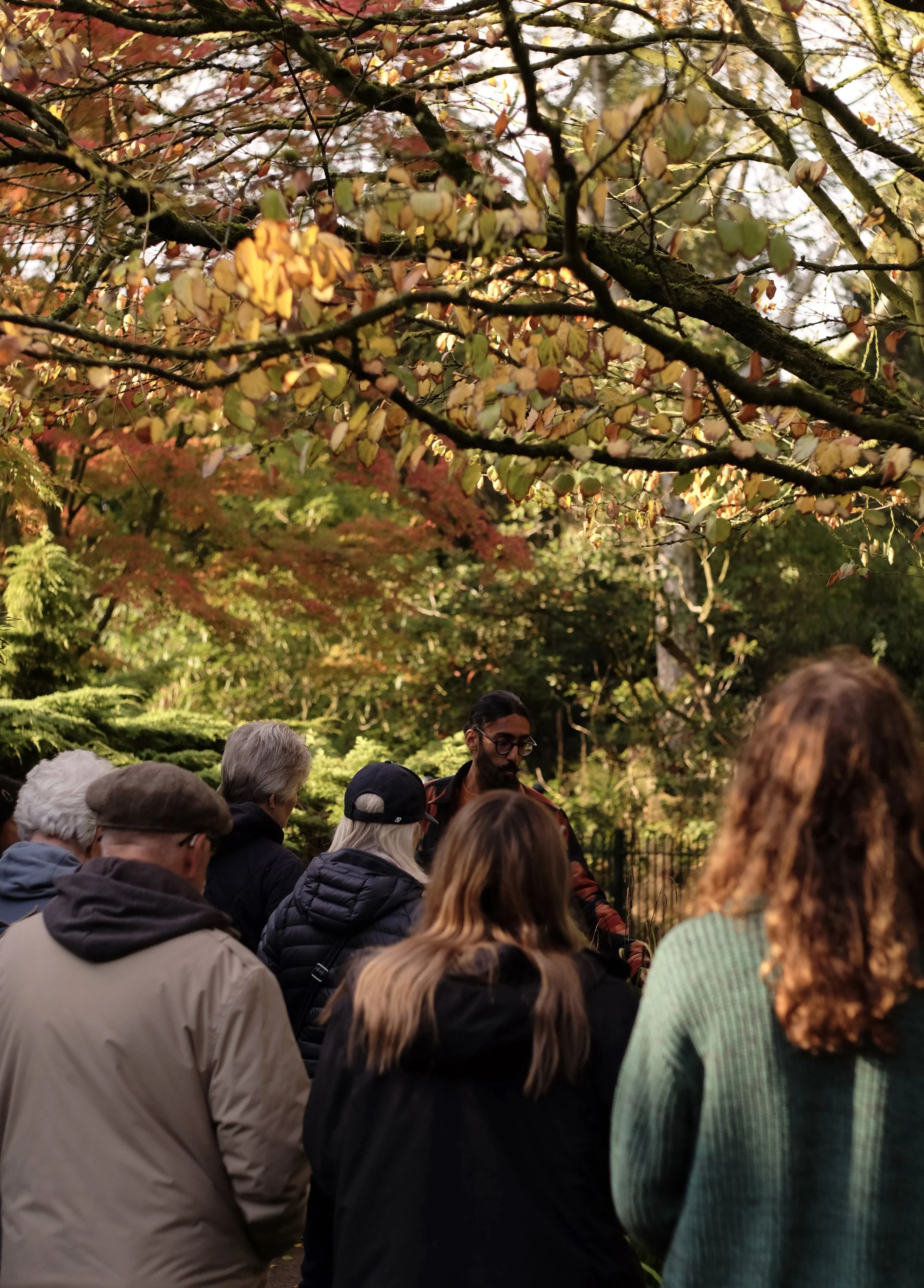 A peaceful walk from park to park - for York Walking Festival