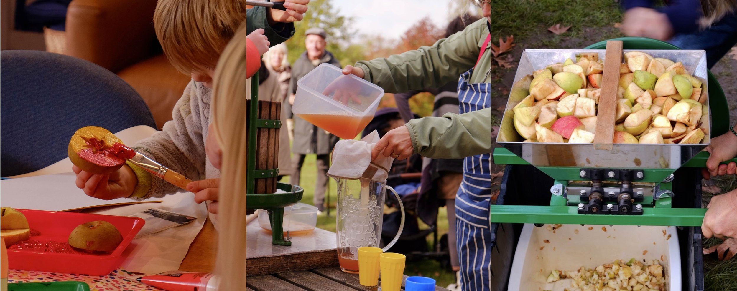 Clifton Apple Weekend, Sunday at Homestead Park - York Environment Festival