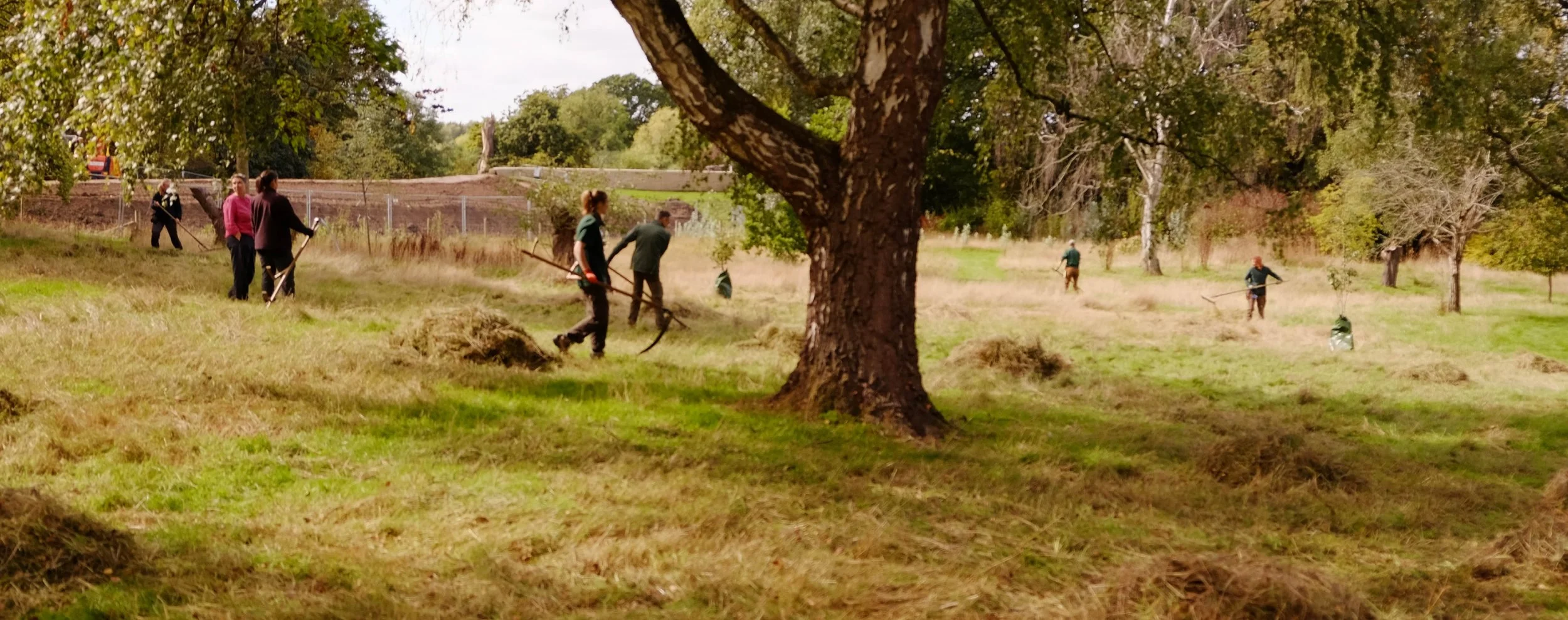 Meadow Makers - York Environment Festival