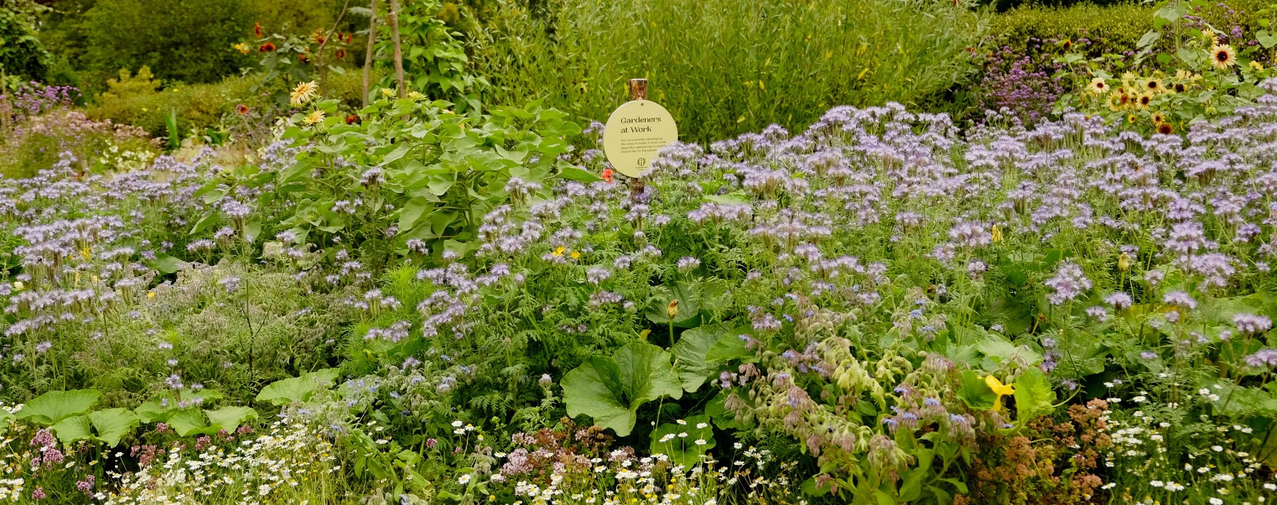 Permaculture, the park, and climate justice guided tour