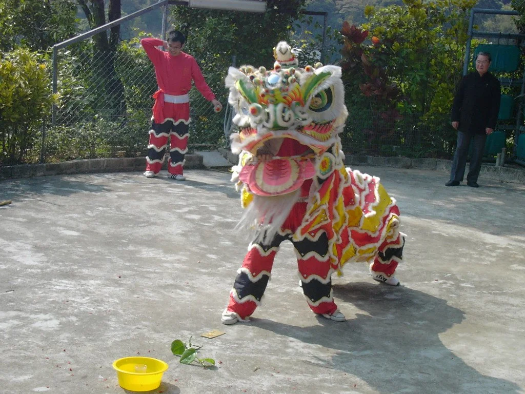 一套傳統中國獅子舞服裝，紅色、黃色、黑色和白色的服裝在戶外表演，旁邊有兩位旁觀者。