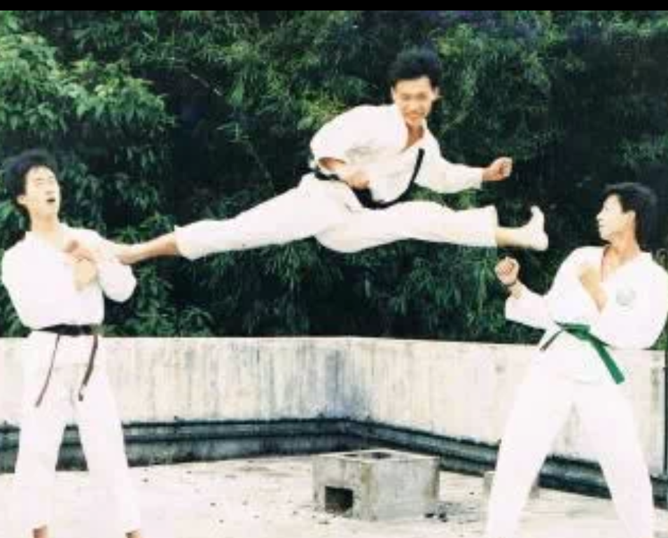 Three martial artists practising outdoor martial arts in white uniforms with black, green, and black belts. One person is horizontally in flanked by the other two.
