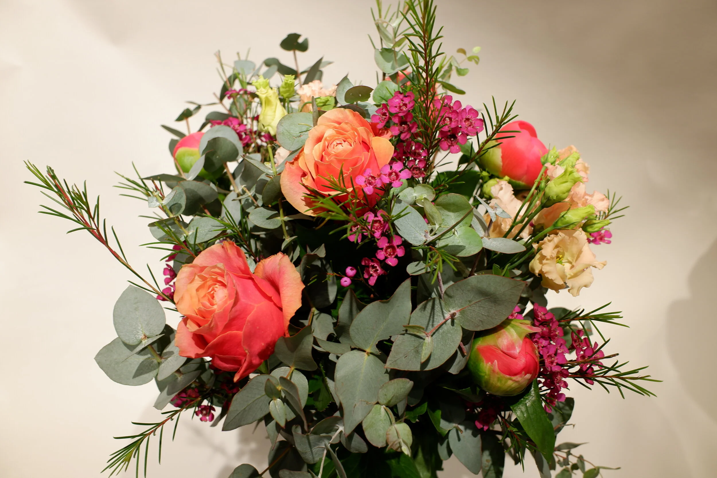 DSCF0042.JPG