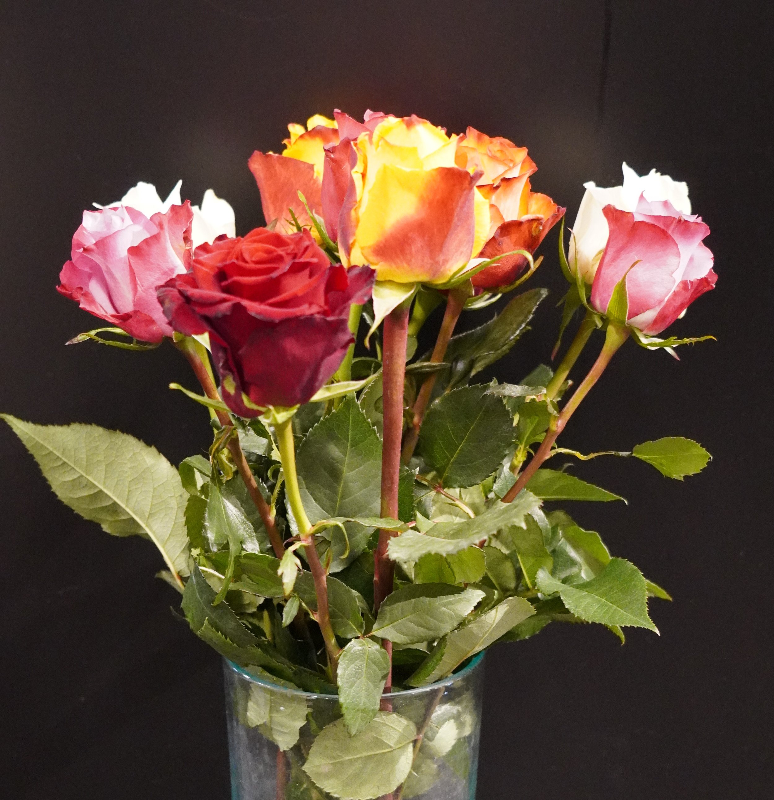 Rosenstrauss bunt, ohne Beiwerk (Muttertag, Valentinstag)