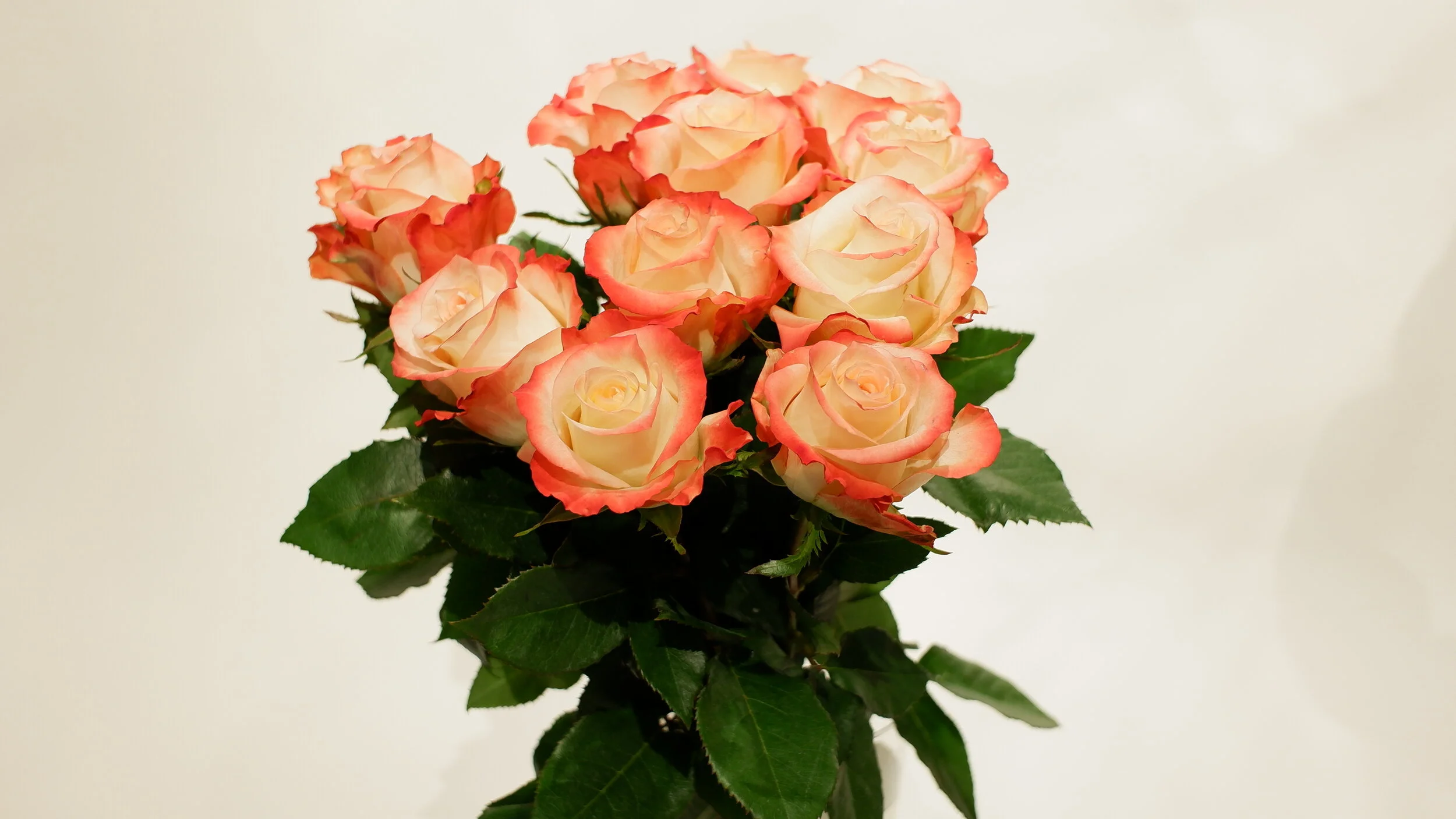 Rosenstrauss orange (Muttertag, Valentinstag)