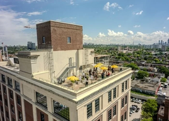 Rooftop.jpg