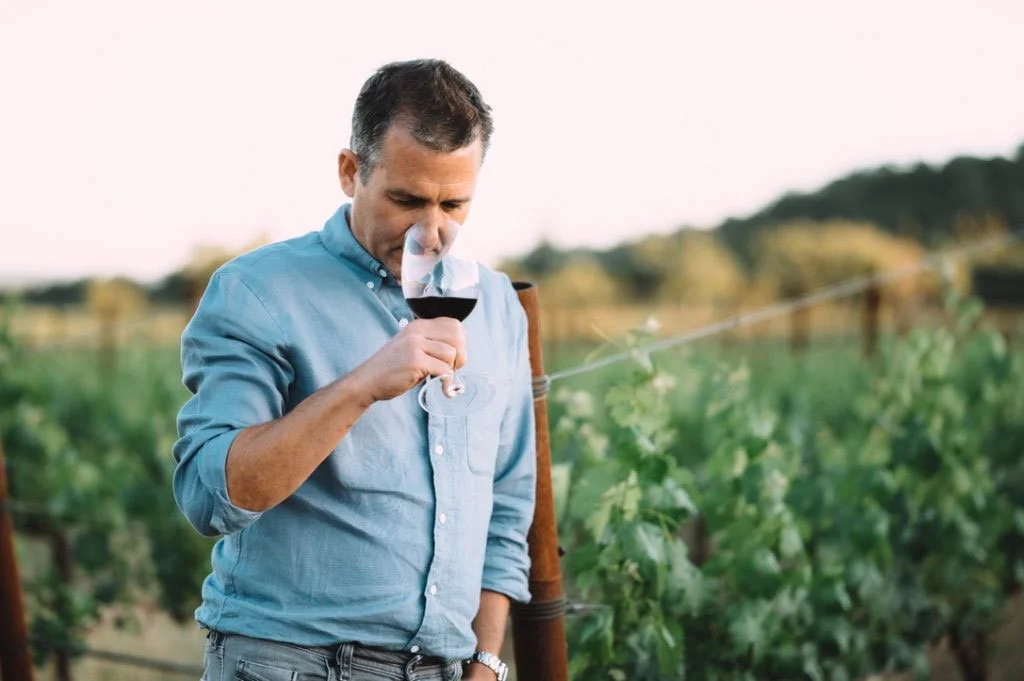 BonAnno Wines 20th Anniversary, a Limited Release Wine Market at Pomeroy