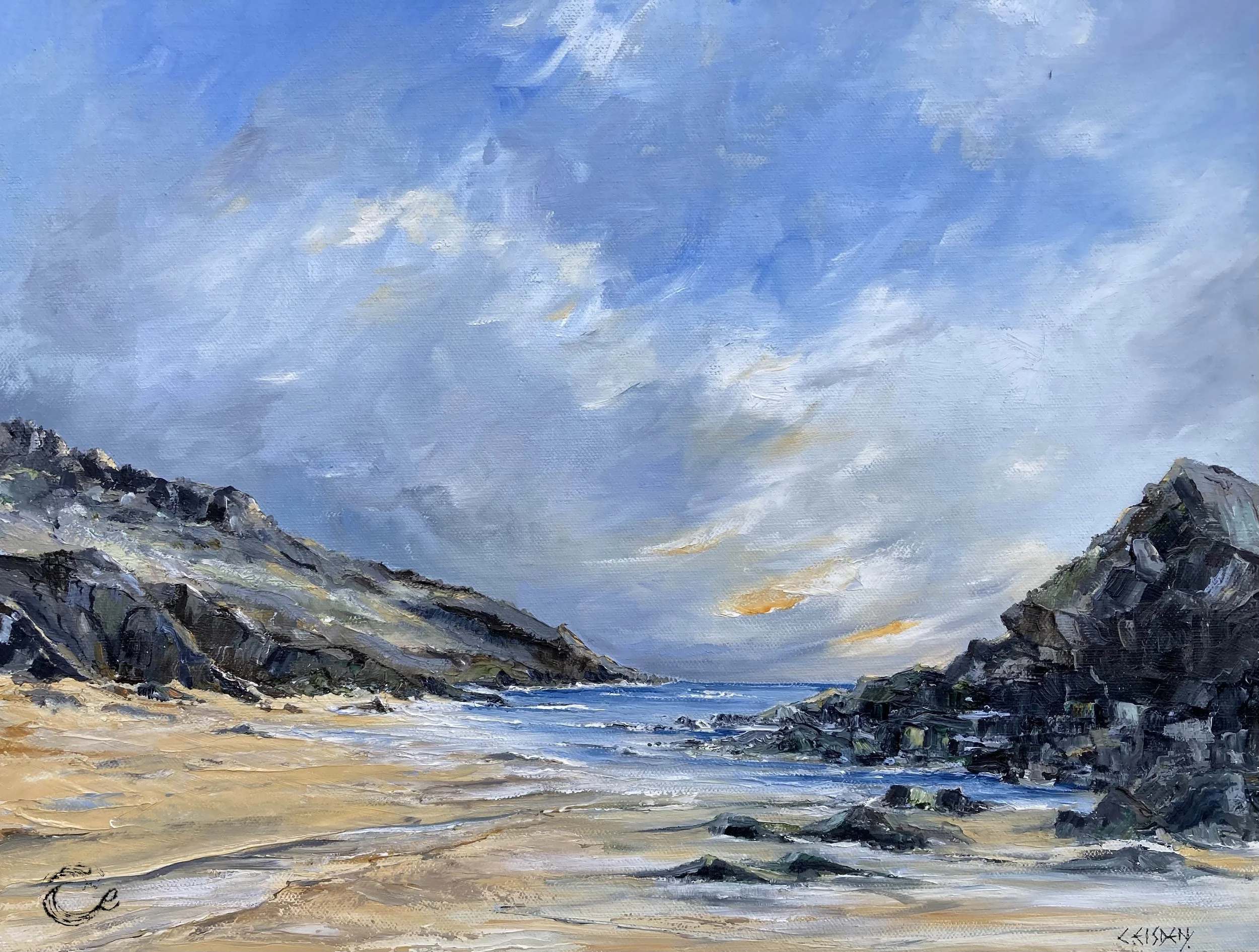 Logo Soar Mill Cove Master unframed-1.jpg