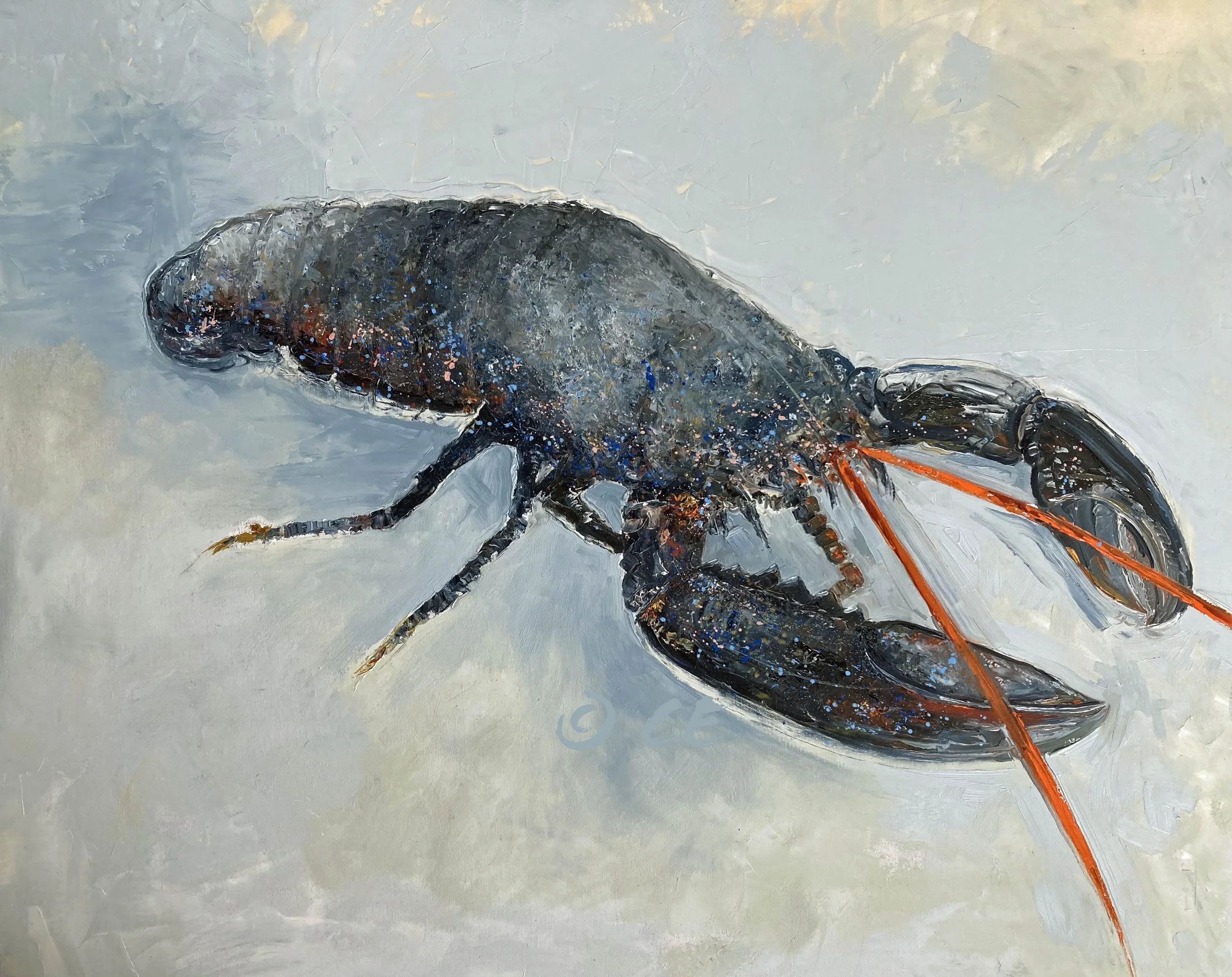 © Blue Lobster for website.jpg