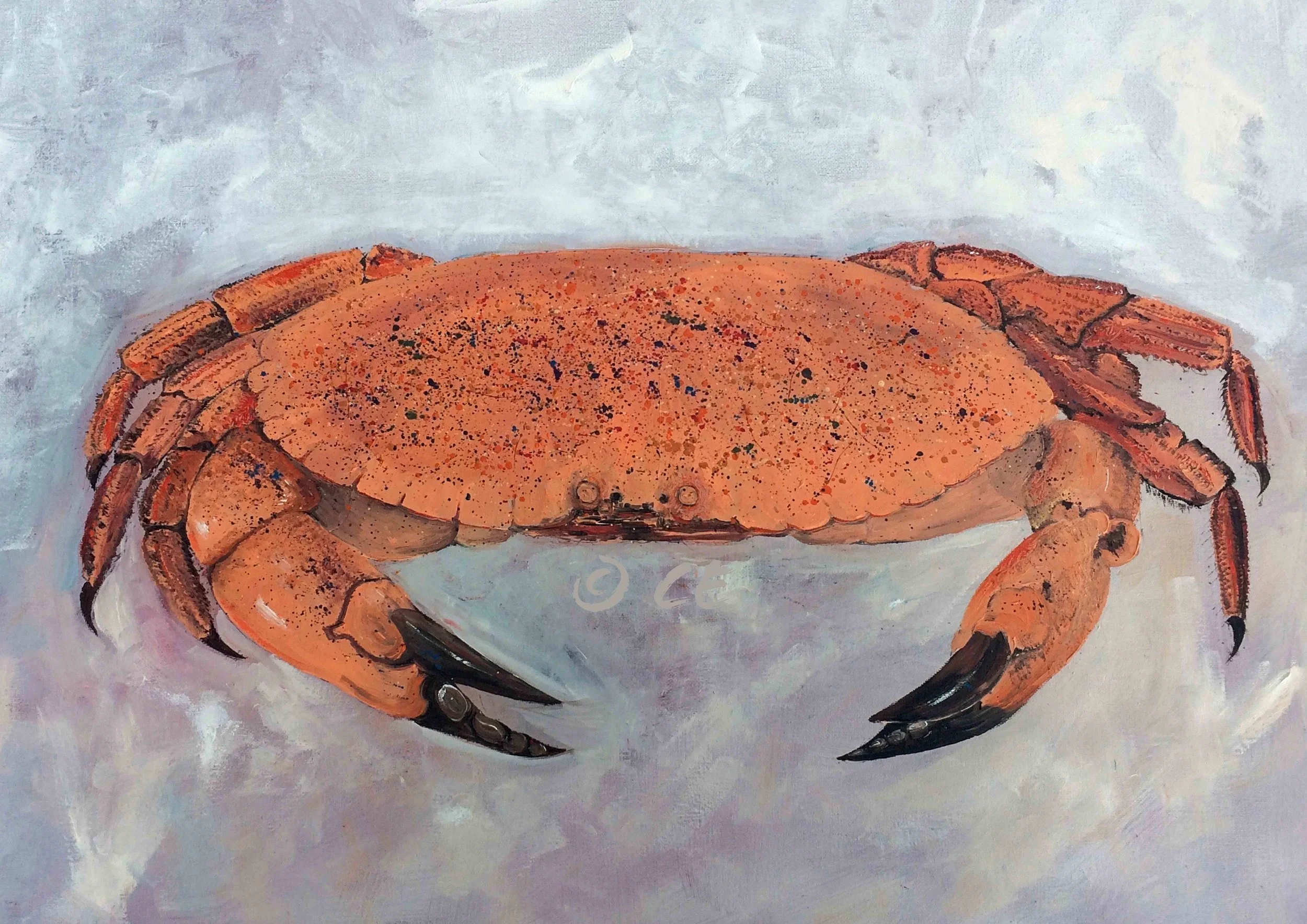 © Devon Crab print master.jpg