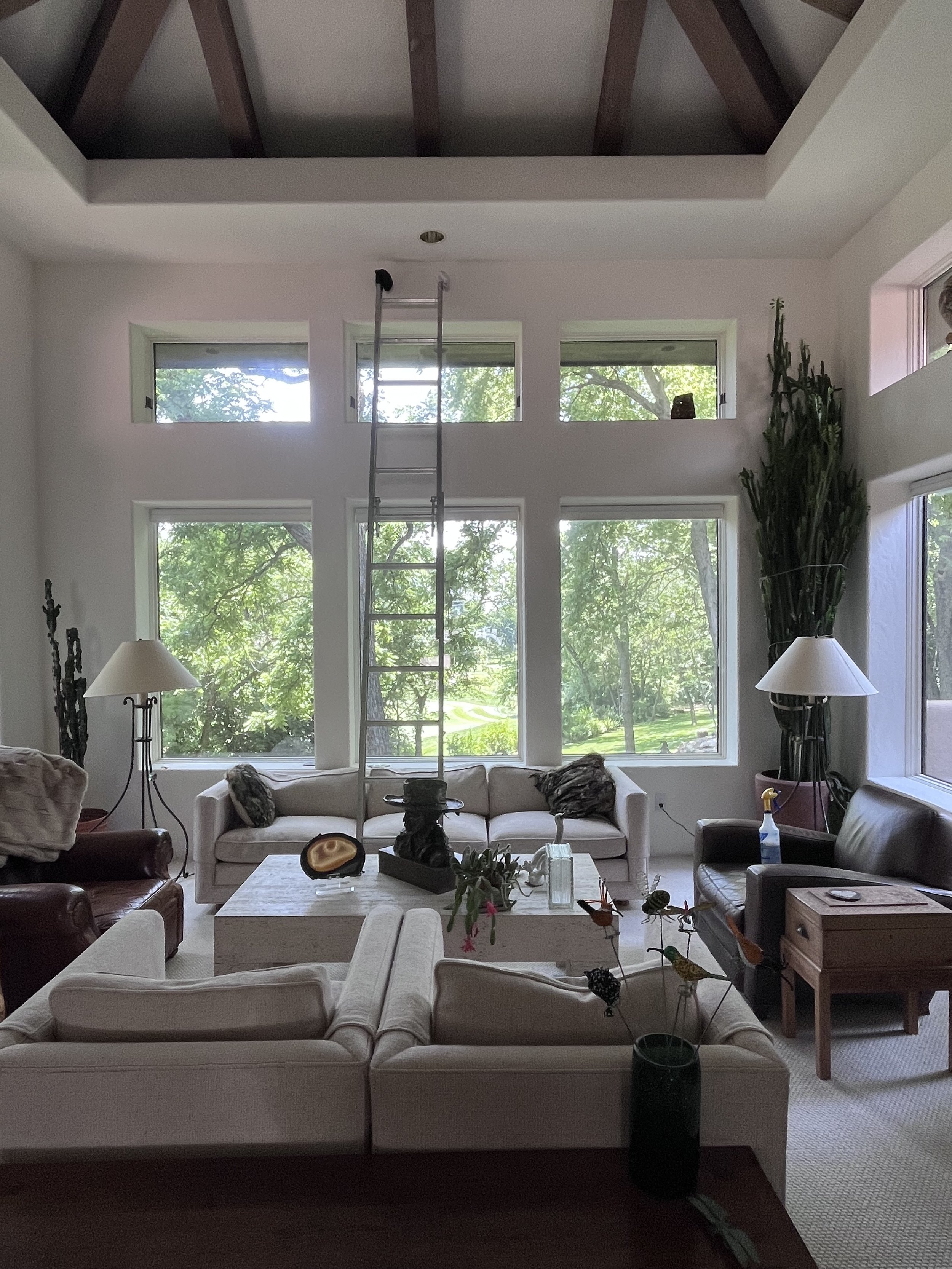 Living room with large windows, a white sofa, two dark leather armchairs, a coffee table, tall cacti, and a ladder leading up to a skylight ceiling.