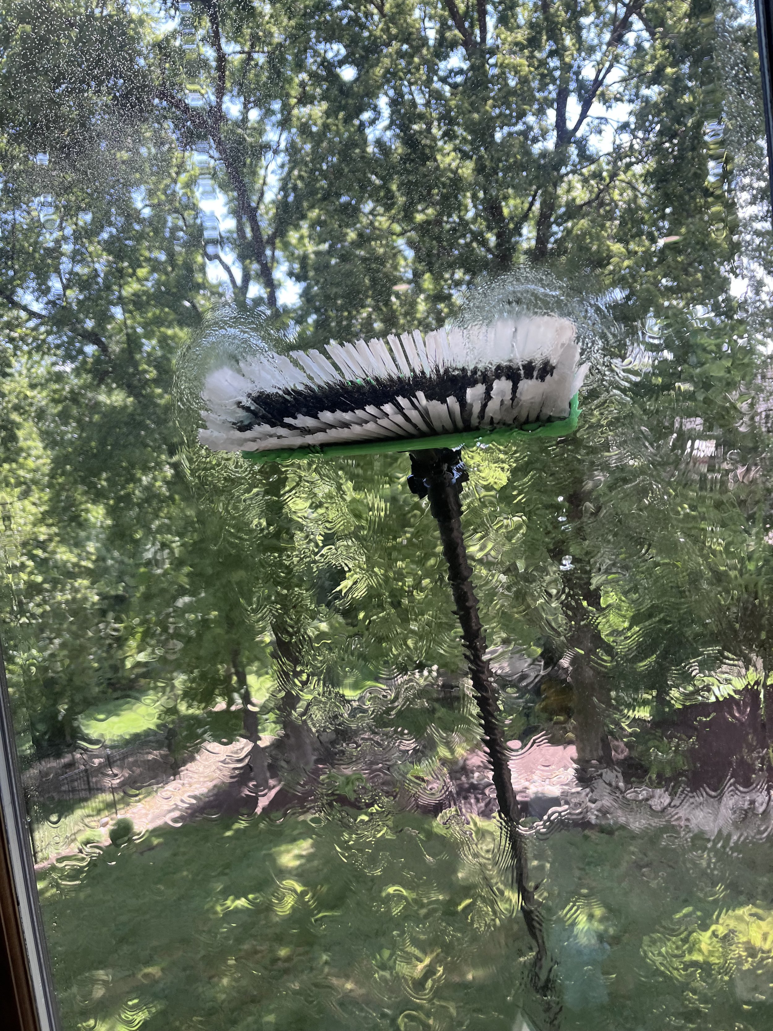 A window being cleaned with a squeegee, with soap and water creating streaks on the glass. Outside, trees and greenery are visible.