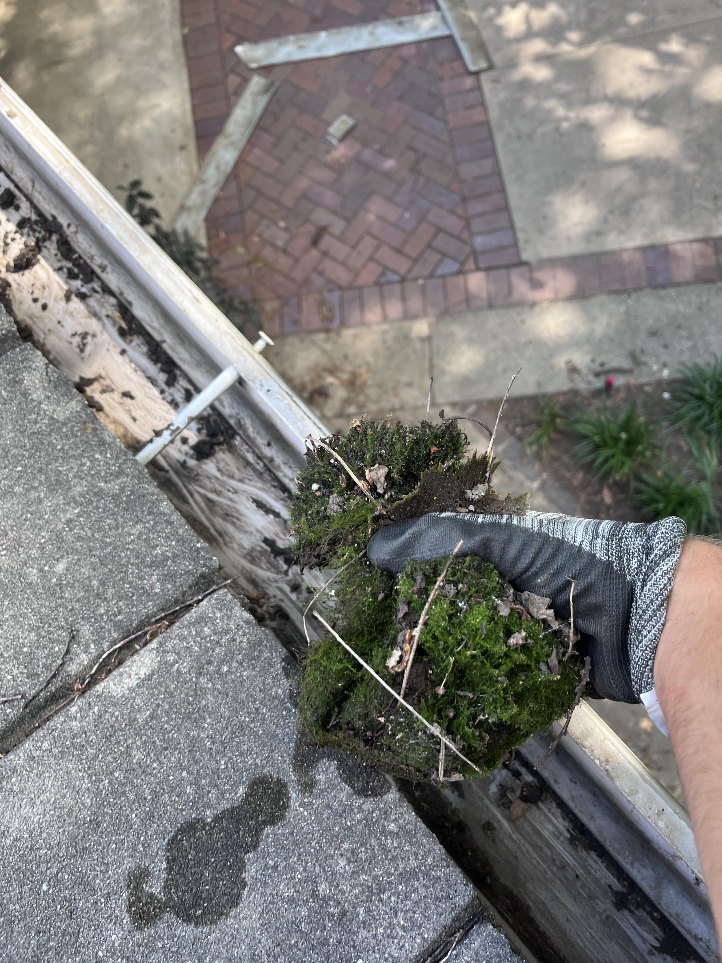 A person in a black work glove is removing a patch of moss and debris from the edge of a building's roof by a metal gutter, overlooking a sidewalk with bricks and concrete.