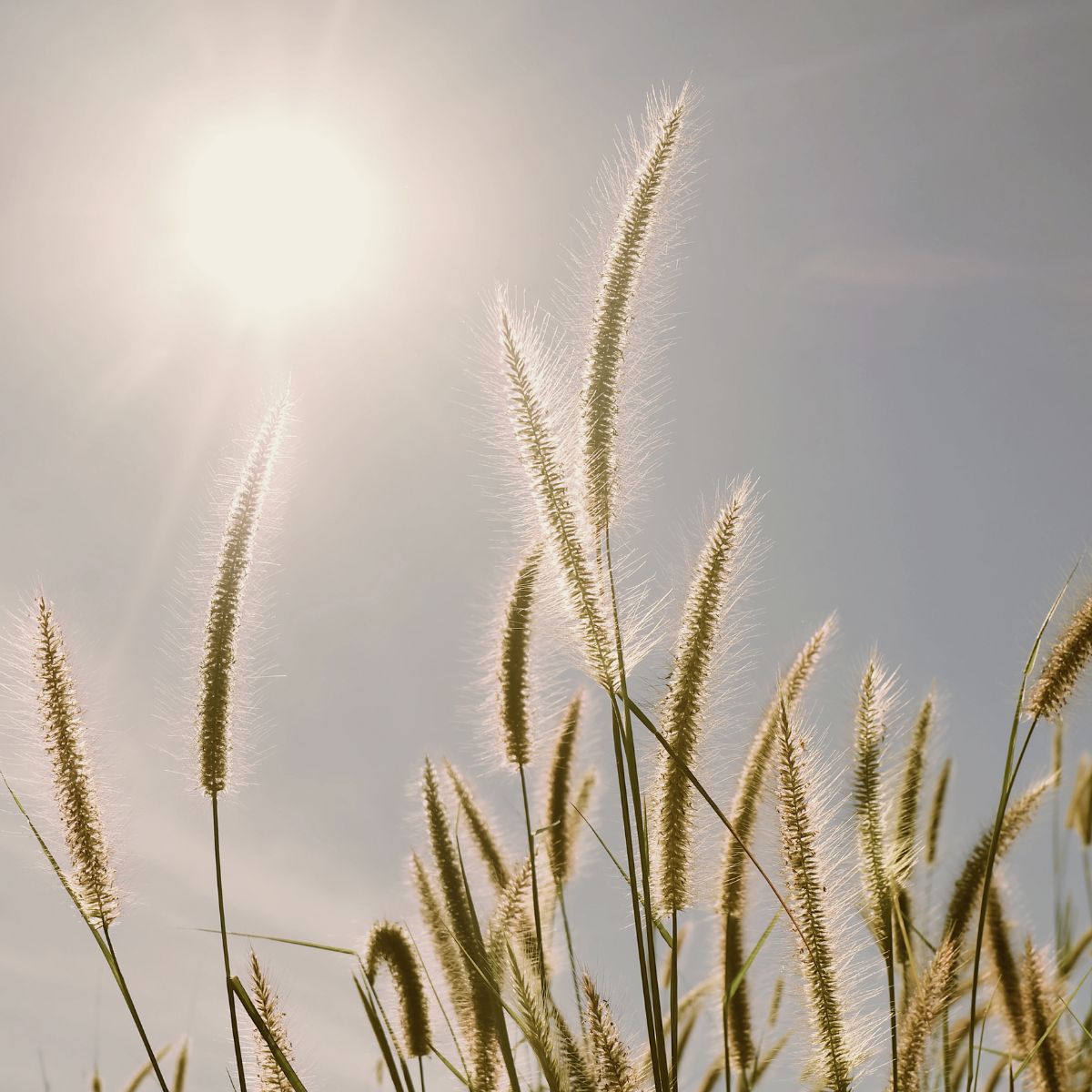 Sådan støtter du en kollega i sorg – uden at skabe afstand