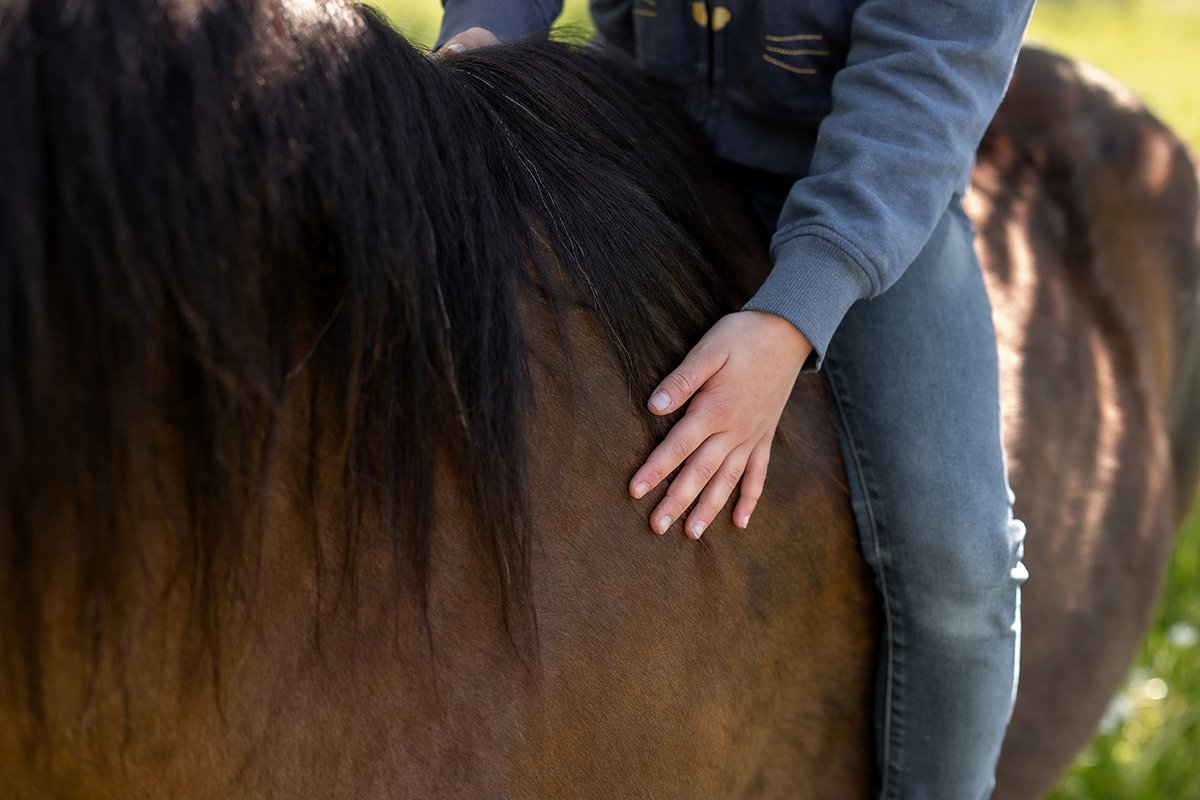 Achtsame Begegnung zwischen Kind und Pony zur Förderung von Entspannung und emotionaler Stärke.