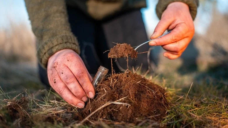Sometimes the best lawn answers come from the soil itself.