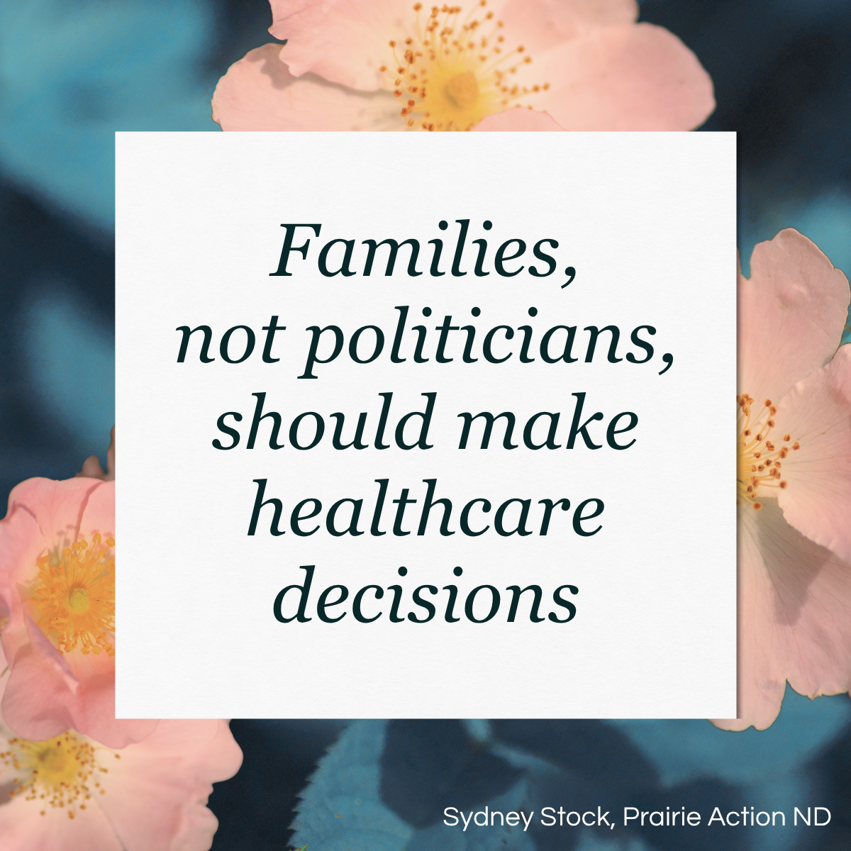 Families, not politicians, should make healthcare decisions