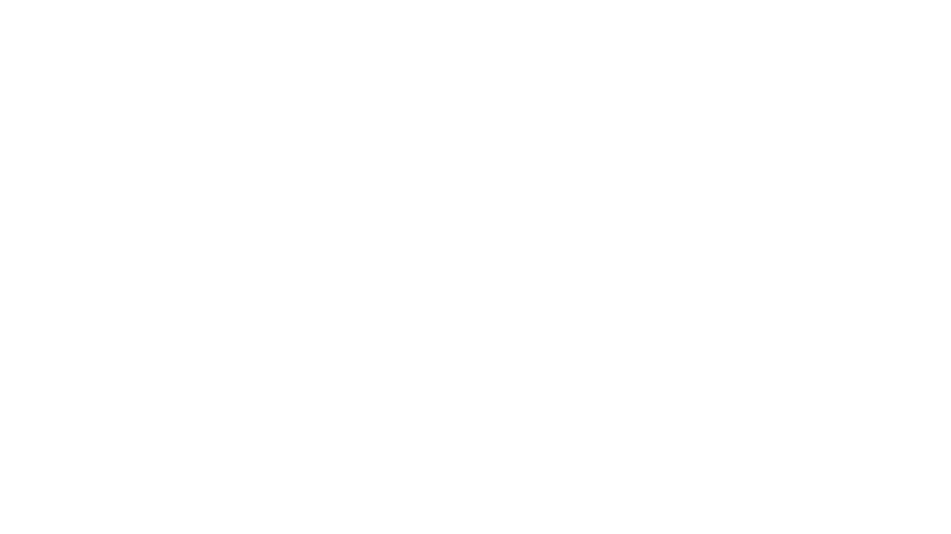 Bolt.new White Logo