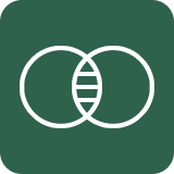 Conflicting Values-icon