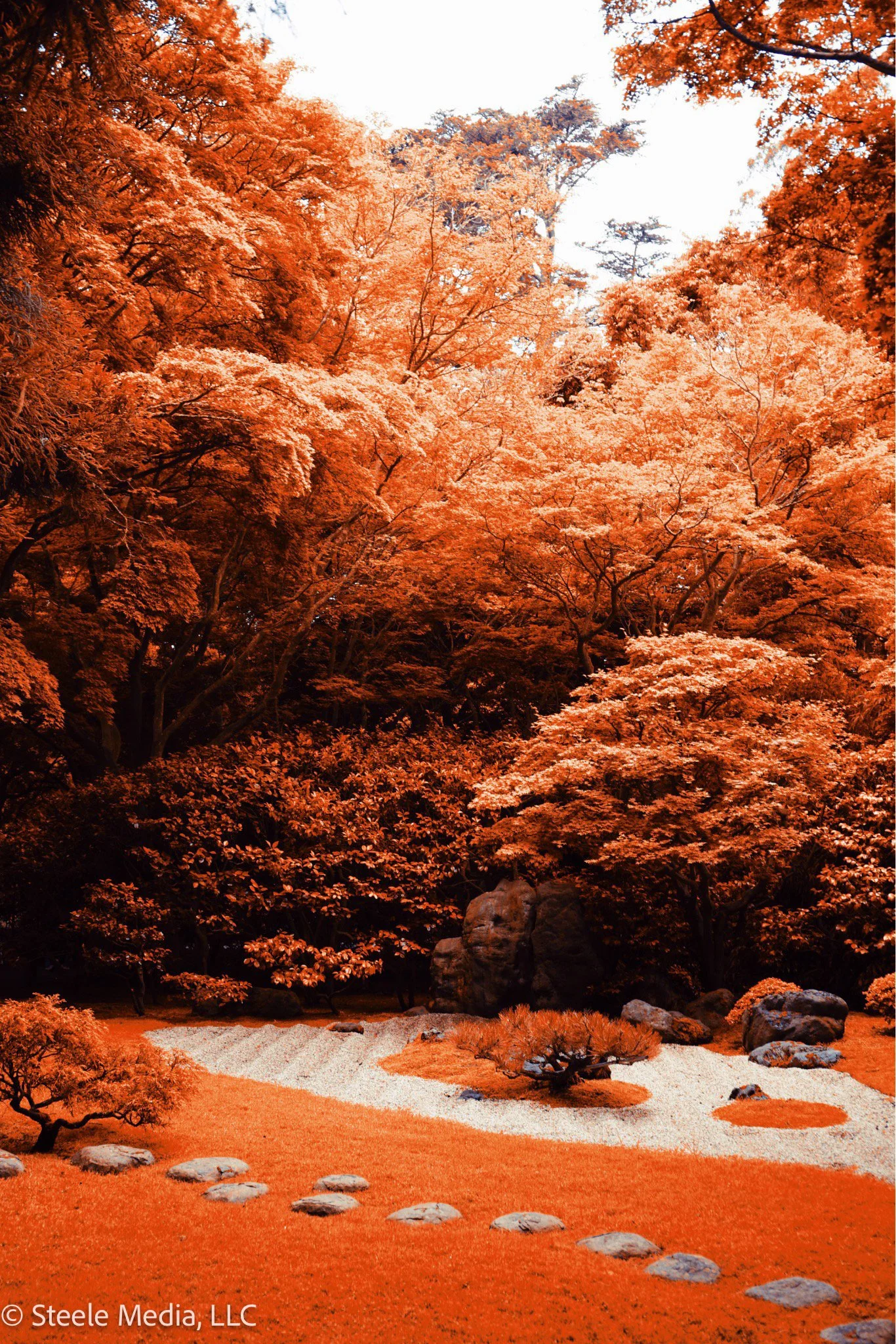 A Japanese garden with vibrant orange and red autumn leaves on trees, neatly arranged rocks and stones, and a small, shaped tree in a zen style.