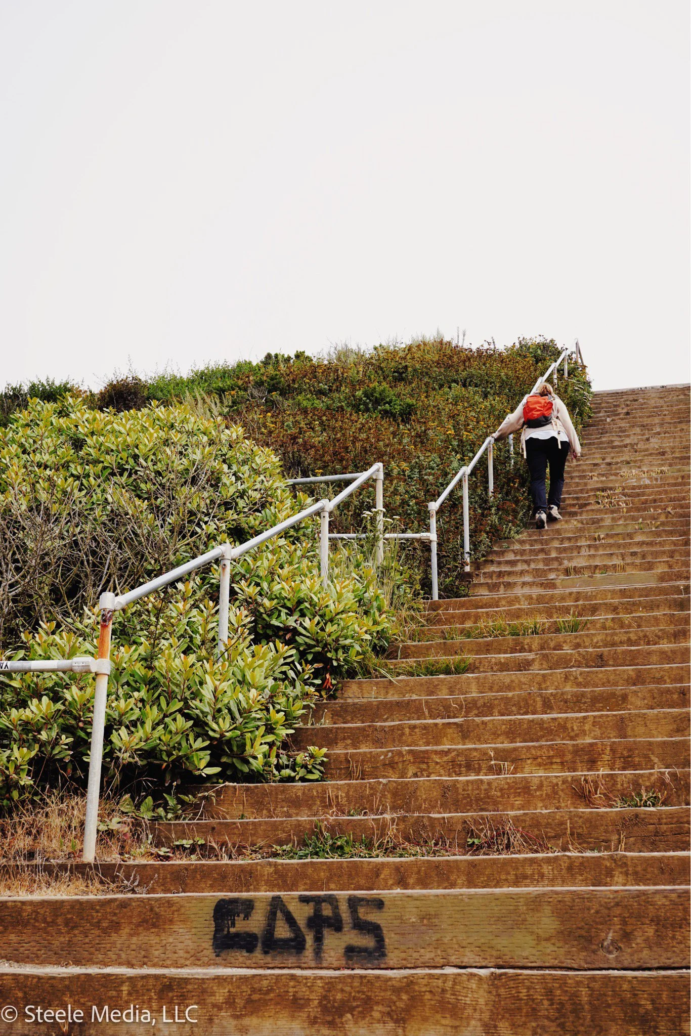 Person climbing outdoor wooden stairs with metal handrails, surrounded by bushes, upward view, cloudy sky.