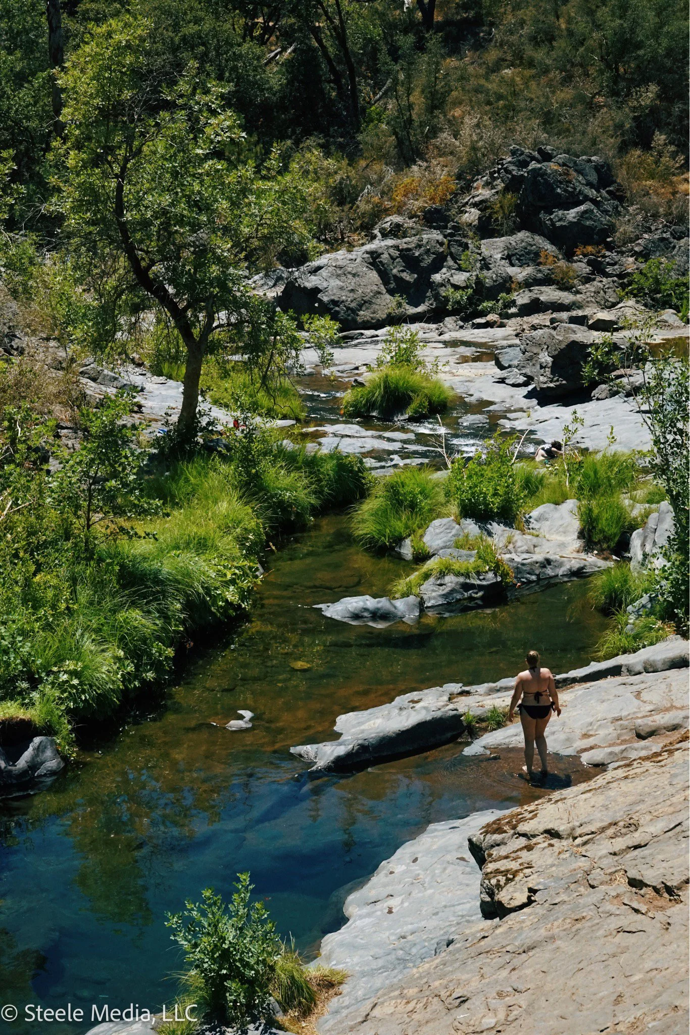 A person in a black swimsuit wading in a rocky stream surrounded by green grass, bushes, and trees, with large rocks and more trees in the background.