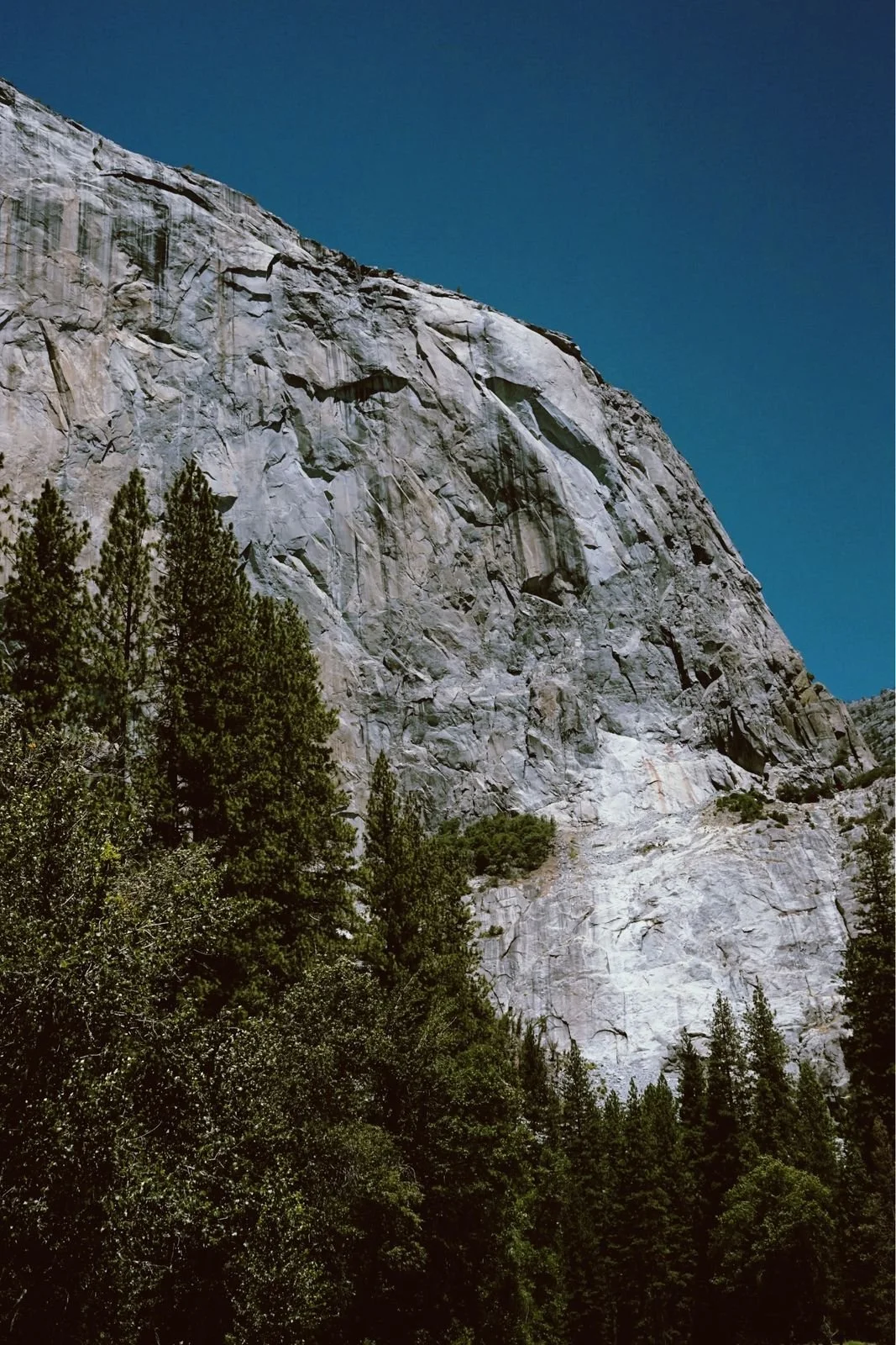 Tall granite mountain with a steep face, surrounded by green pine trees under a clear blue sky.