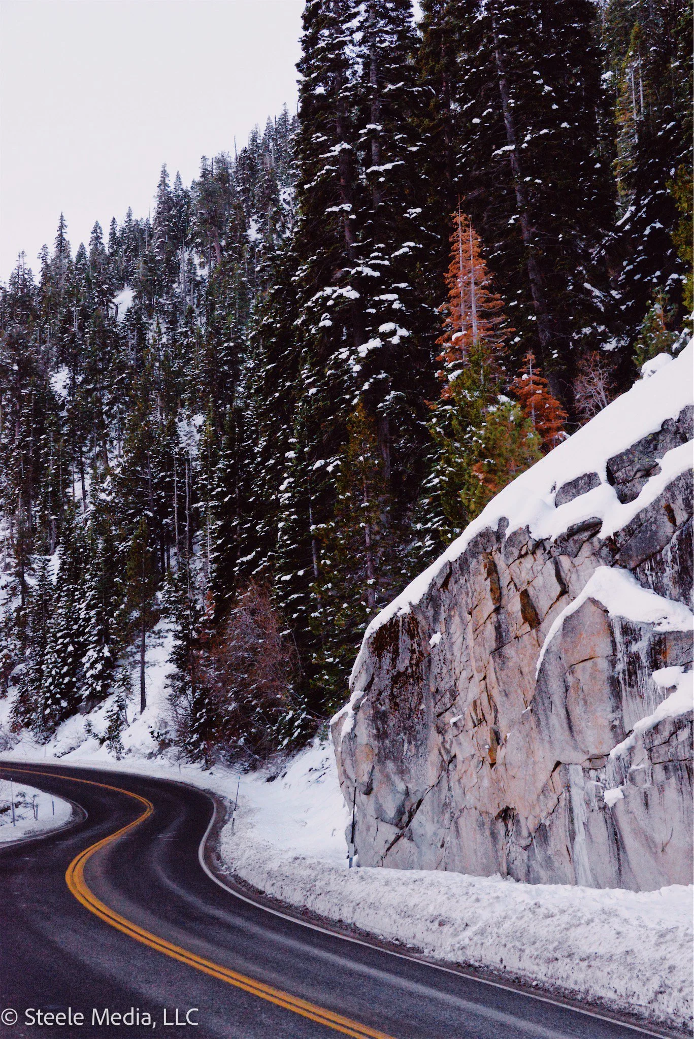 A winding mountain road bordered by snow-covered ground and tall evergreen trees, with a rocky cliff on the right side.