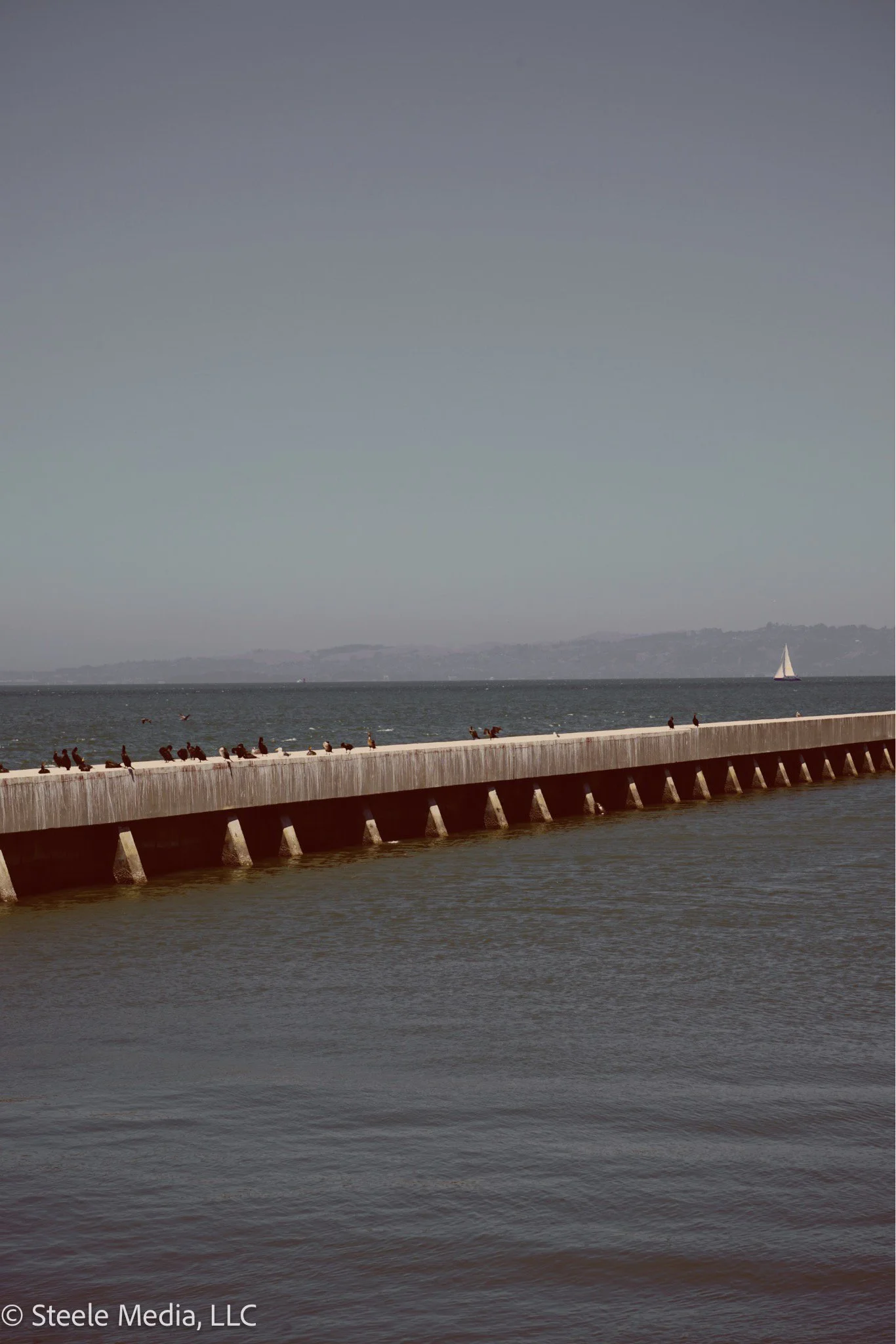 A long pier extending into a body of water with seagulls perched along its edge, and a sailboat in the distance under a clear sky.