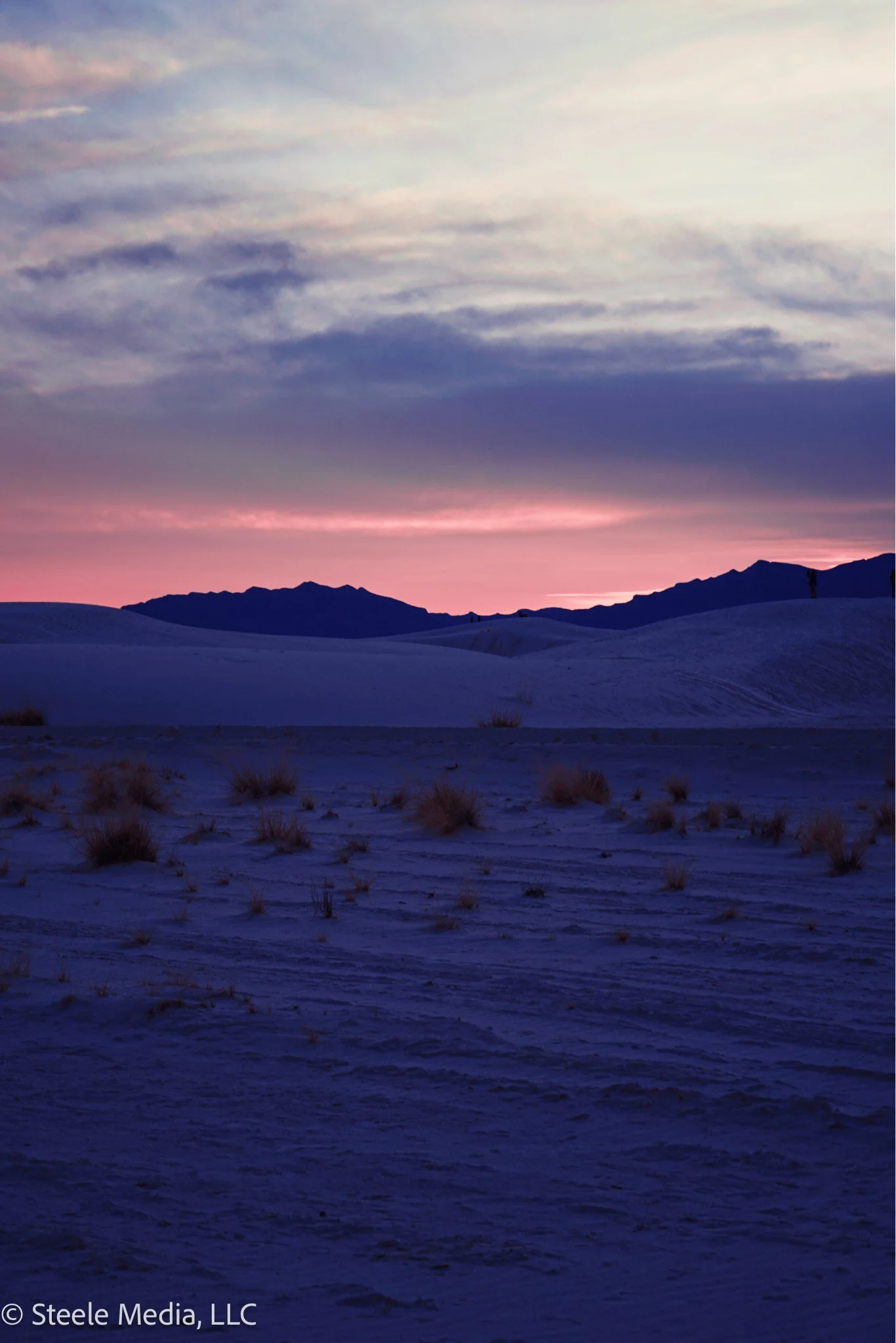 Desert landscape at sunset with blue and pink sky, distant mountains, sand dunes, and sparse bushes.