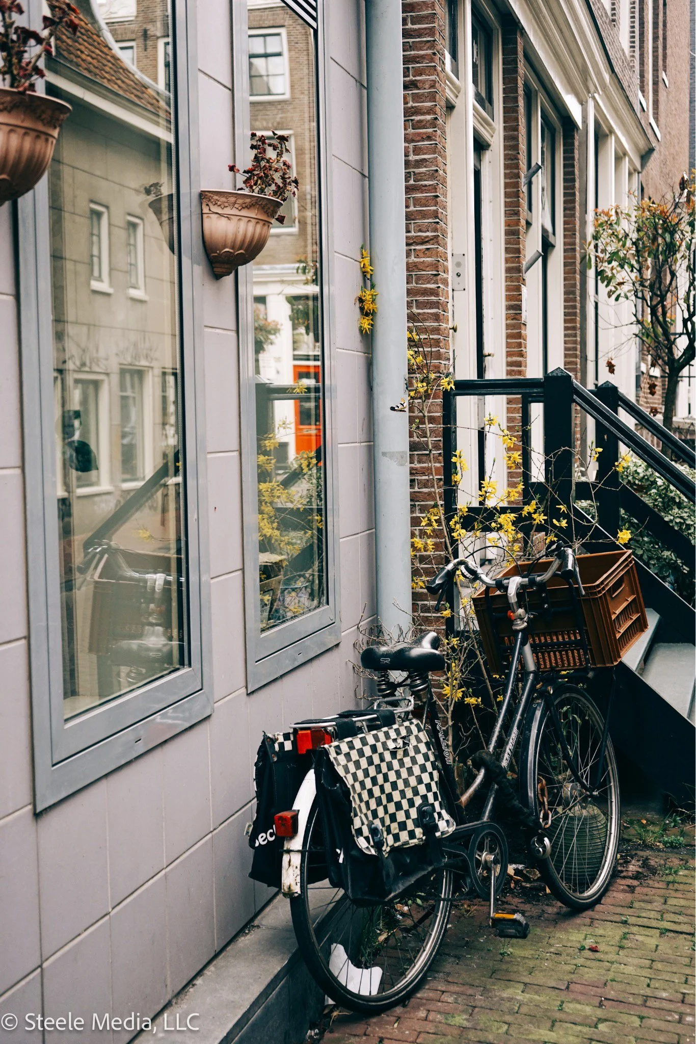 A black bicycle parked against a gray tiled wall with three windows, flower pots with flowering plants mounted on the wall, and yellow flowering vines growing beside the bike. There's a brick building with steps and a railing to the right.