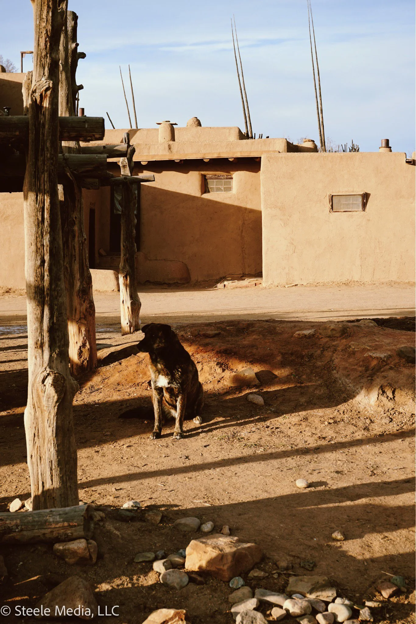 A black dog with a white chest sitting on dirt ground in front of a traditional Adobe-style building in a desert setting. The building has flat roofs and small windows, with wooden poles and a structure made of wooden beams in the foreground. The sce