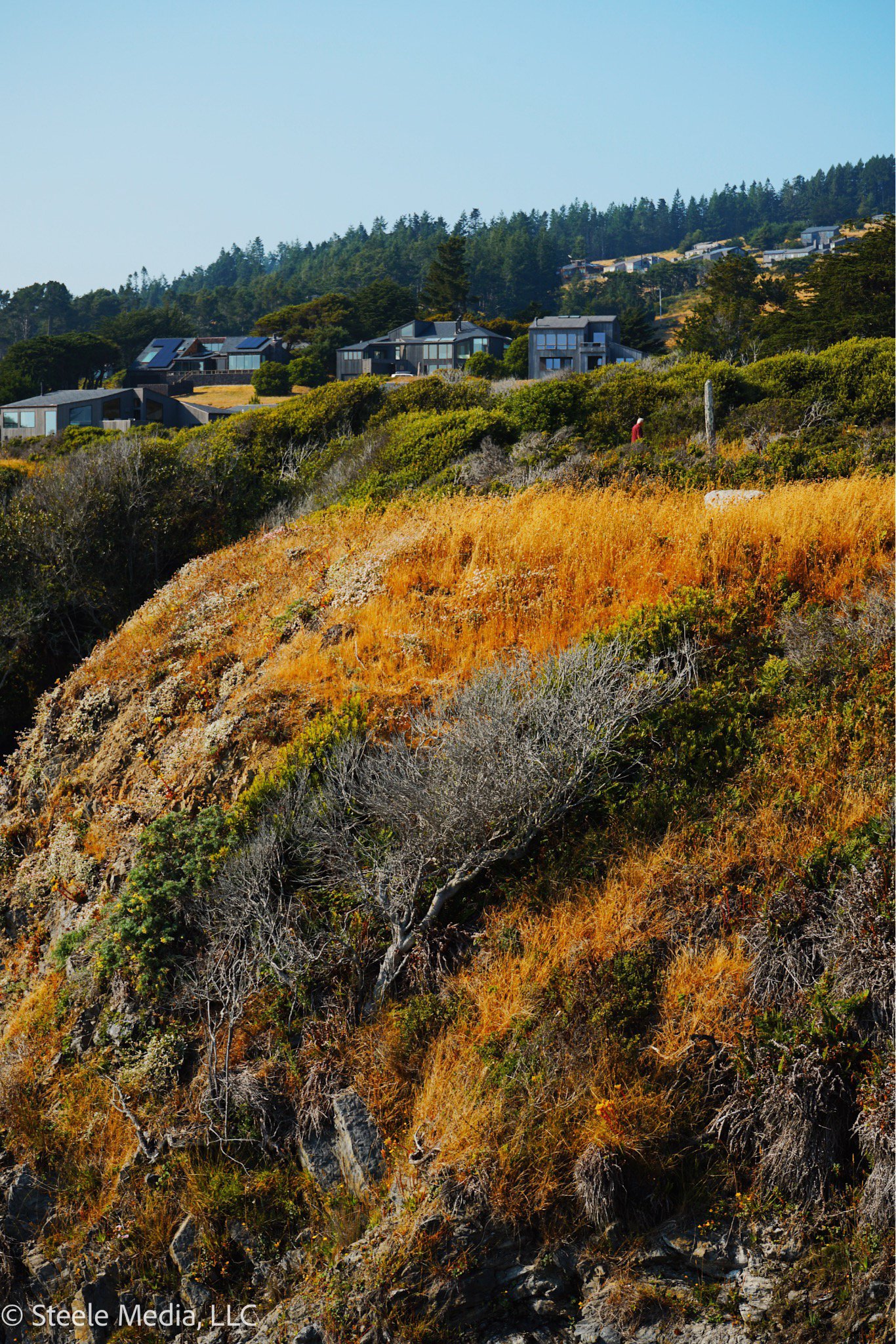 Hilly landscape with dry grass, shrubs, and trees, with modern houses on a hilltop in the background under a clear blue sky.