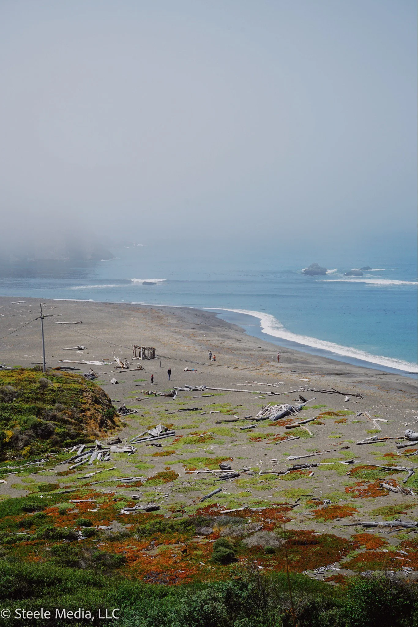 A foggy beach with scattered driftwood, sparse vegetation, and a few people near the shoreline.