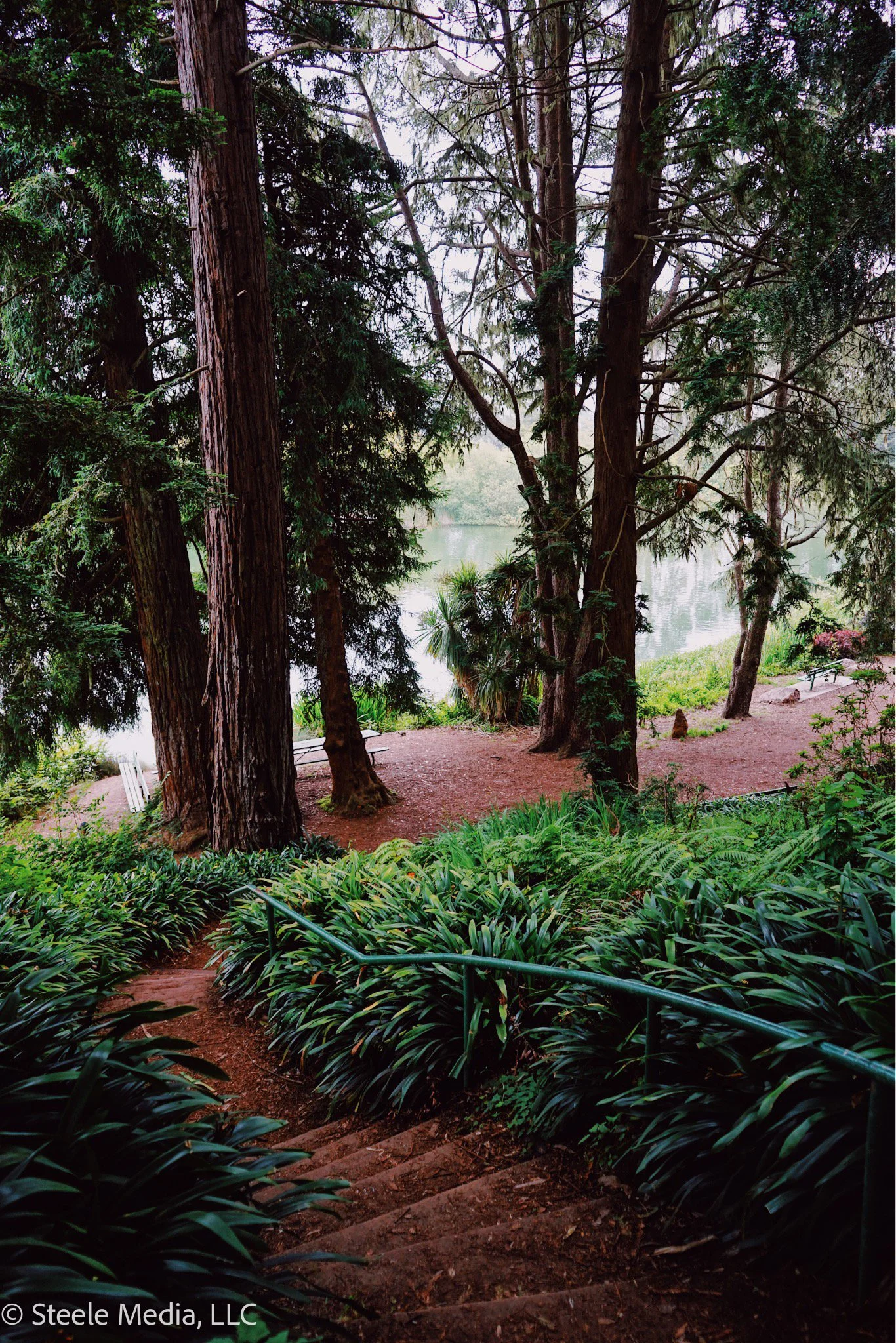 A shaded park pathway with stone steps, surrounded by lush green foliage, trees, and overlooking a body of water in the background.