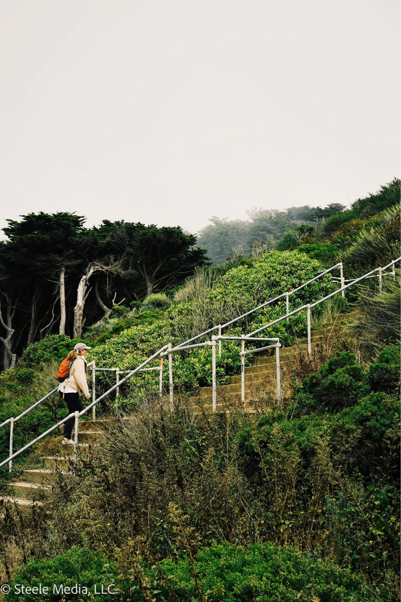 A person hiking up a steep outdoor trail with steps and a metal railing, surrounded by lush green vegetation and trees, under a partly cloudy sky.