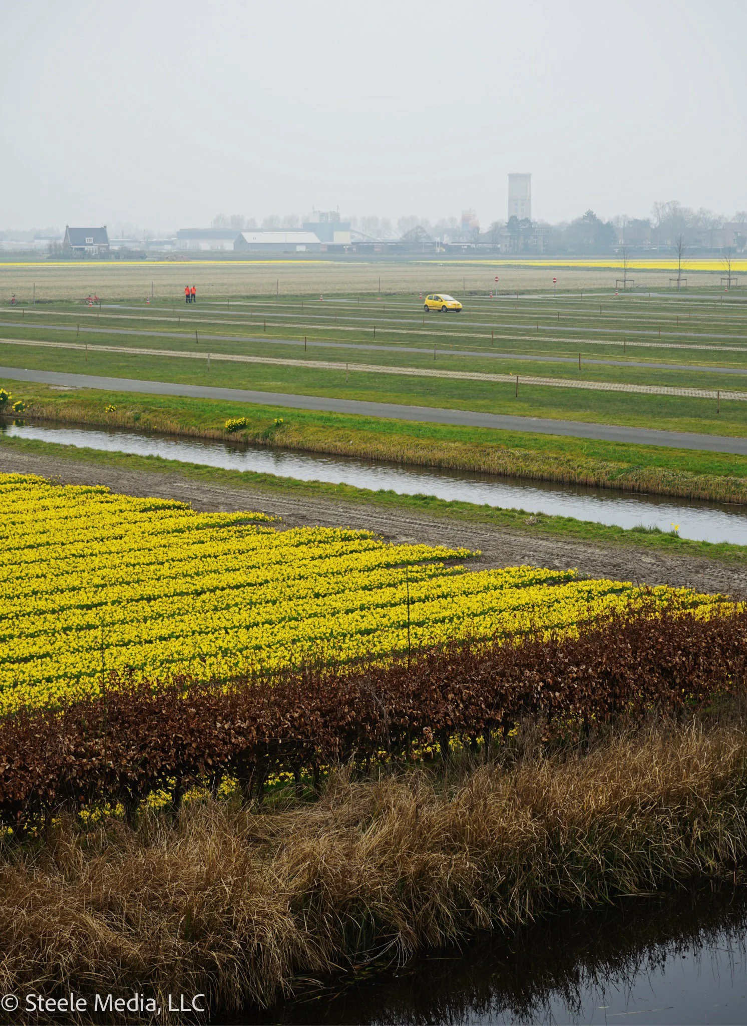 A rural landscape with yellow flowers in the foreground, a narrow water canal, and fields with a few cars and people, under an overcast sky.