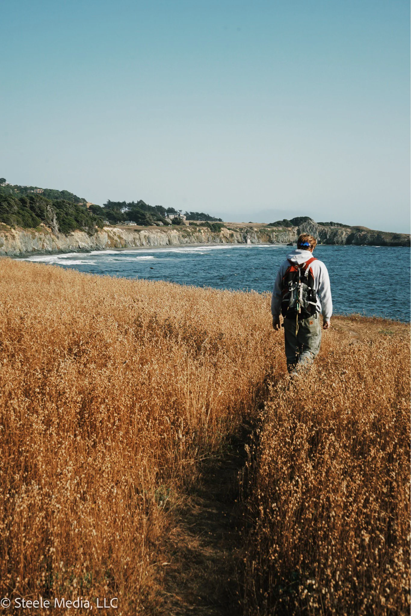 A person with a gray hoodie and backpack walking through a field of tall, dry grass near a coastline with cliffs and the ocean in the background.