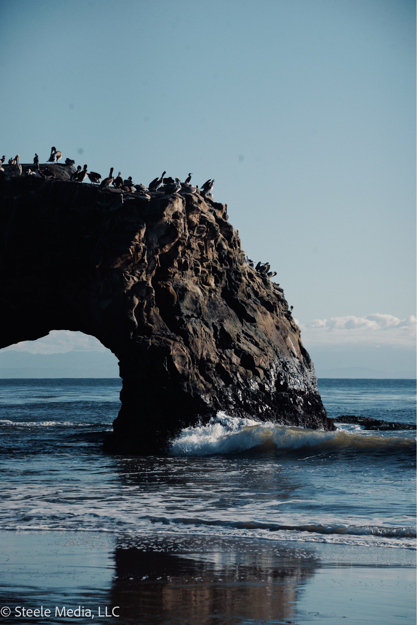 A rocky coastal cliff with a natural arch, with numerous birds perched on the top, overlooking the ocean under a clear sky.