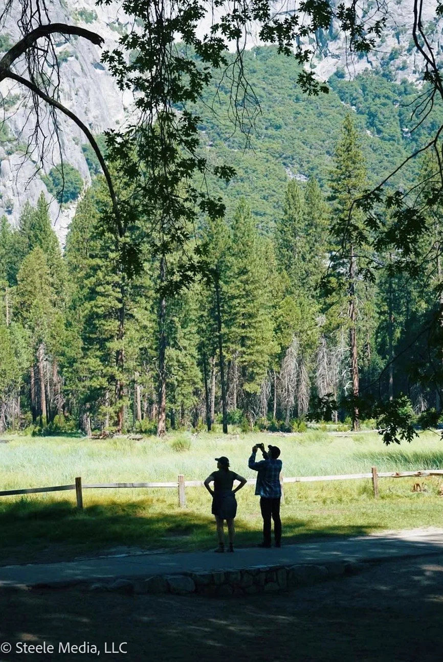 Two people standing on a pathway in a forested area, with one person taking a photo of the scenic view of tall pine trees and mountains in the background, partially shaded by overhanging tree branches.