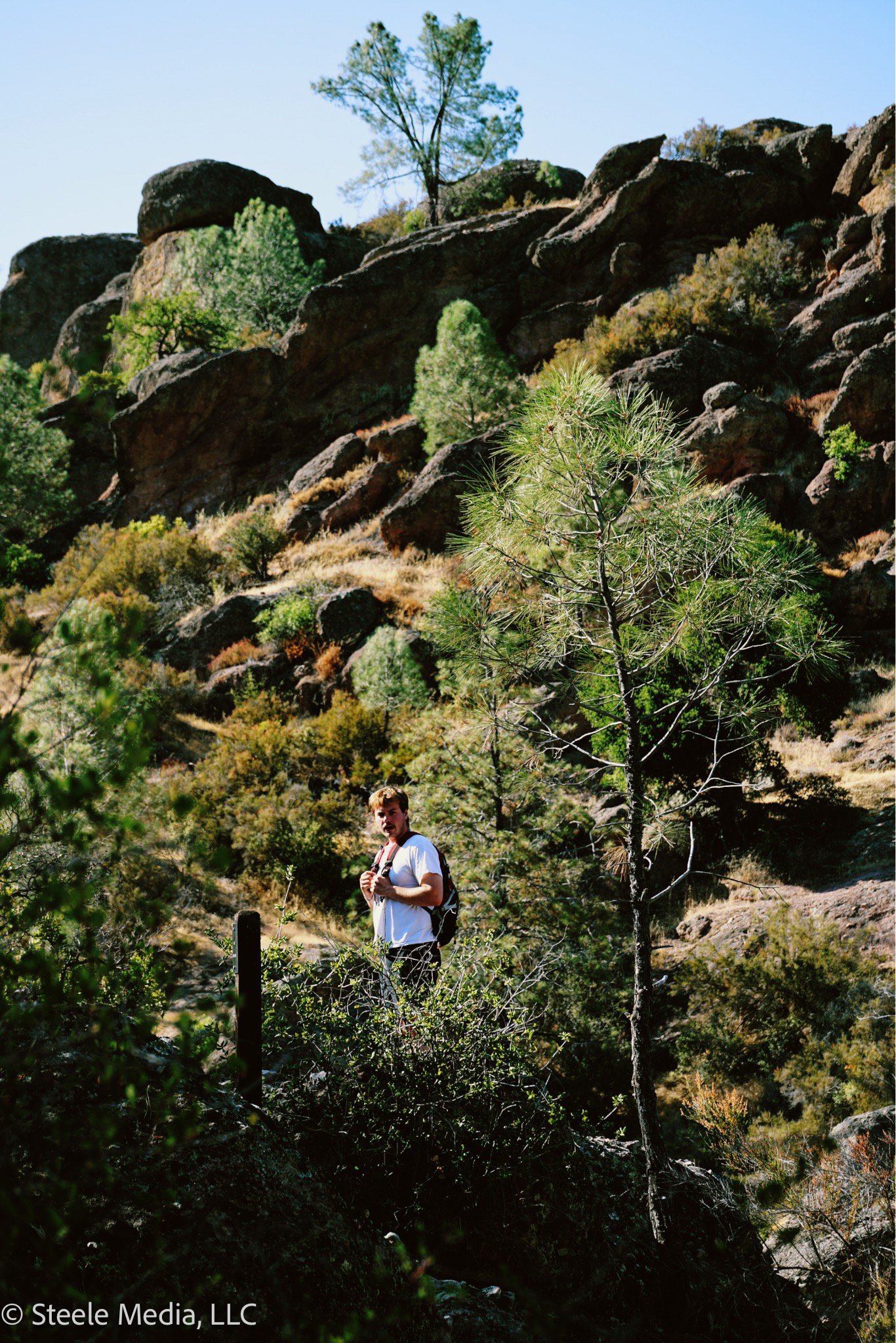 A person hiking in a mountainous, forested area with fall colors, rocky hills, and tall pine trees.