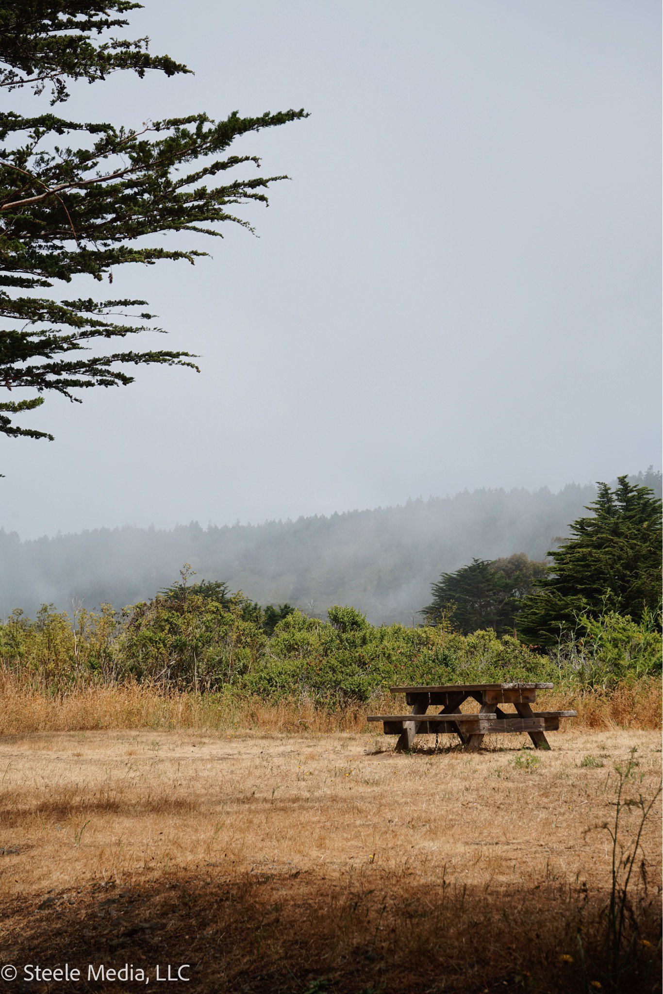 A picnic table in an open grassy area with trees and hills in the background, and fog in the distance.