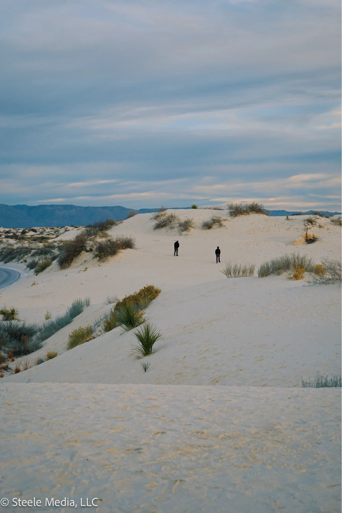 A landscape with sandy dunes and sparse desert vegetation under a cloudy sky, two people walking in the distance.