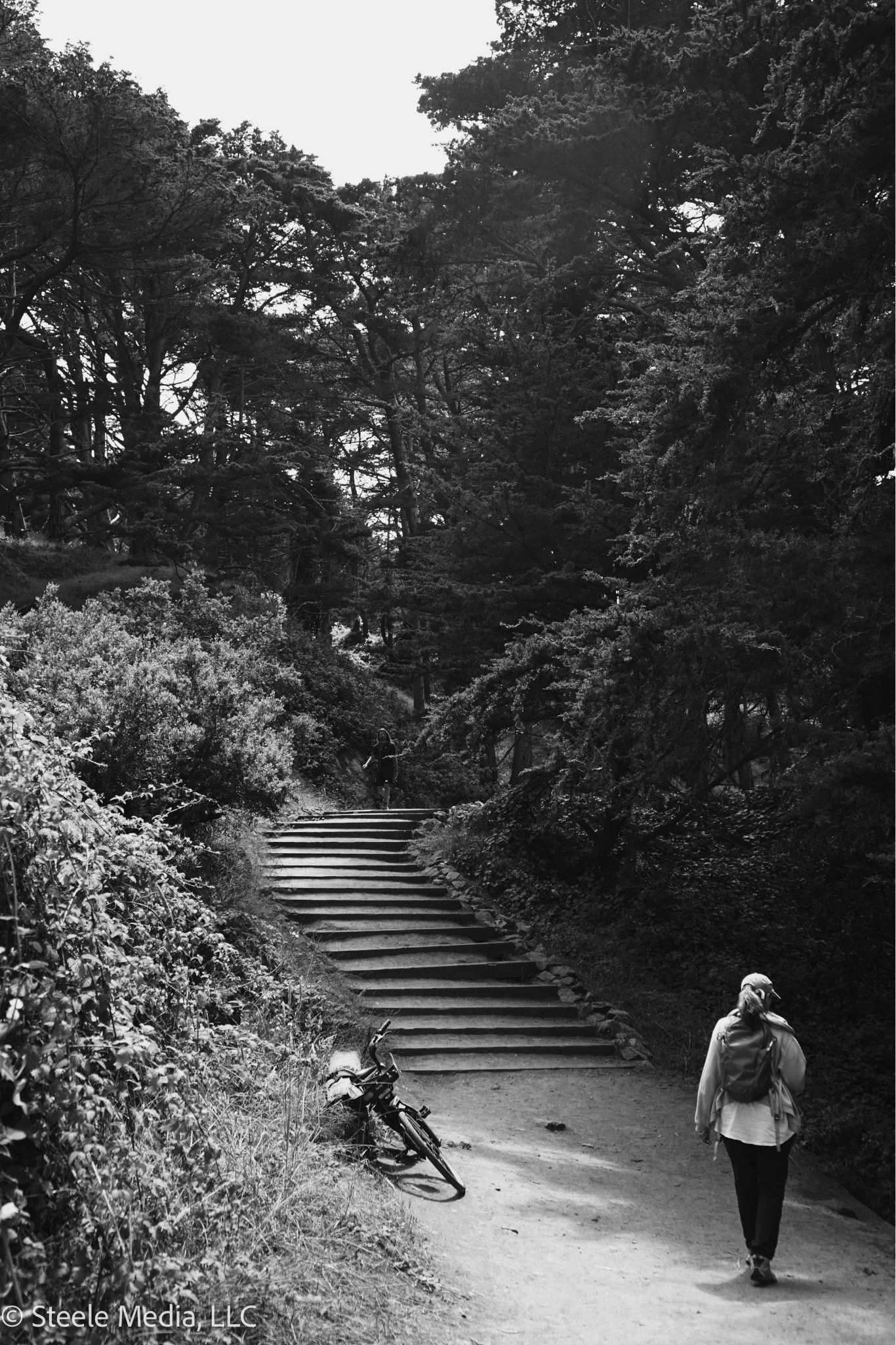 A black and white photo of a forest trail with two people walking, a bicycle fallen on the ground nearby, and stairs leading up the hillside, surrounded by dense trees.