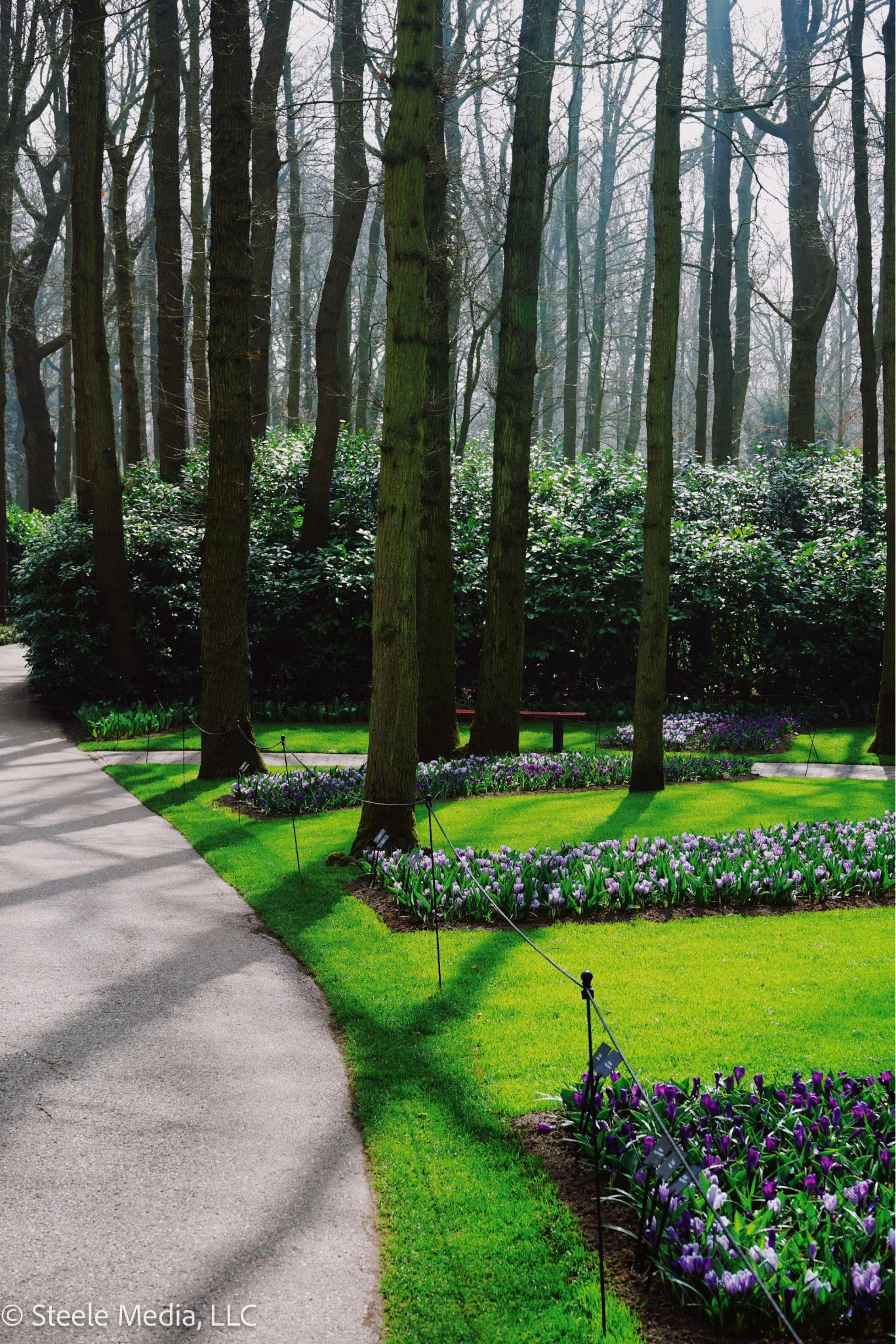Pathway winding through a landscaped garden with green grass, purple flowers, and tall trees in the background.