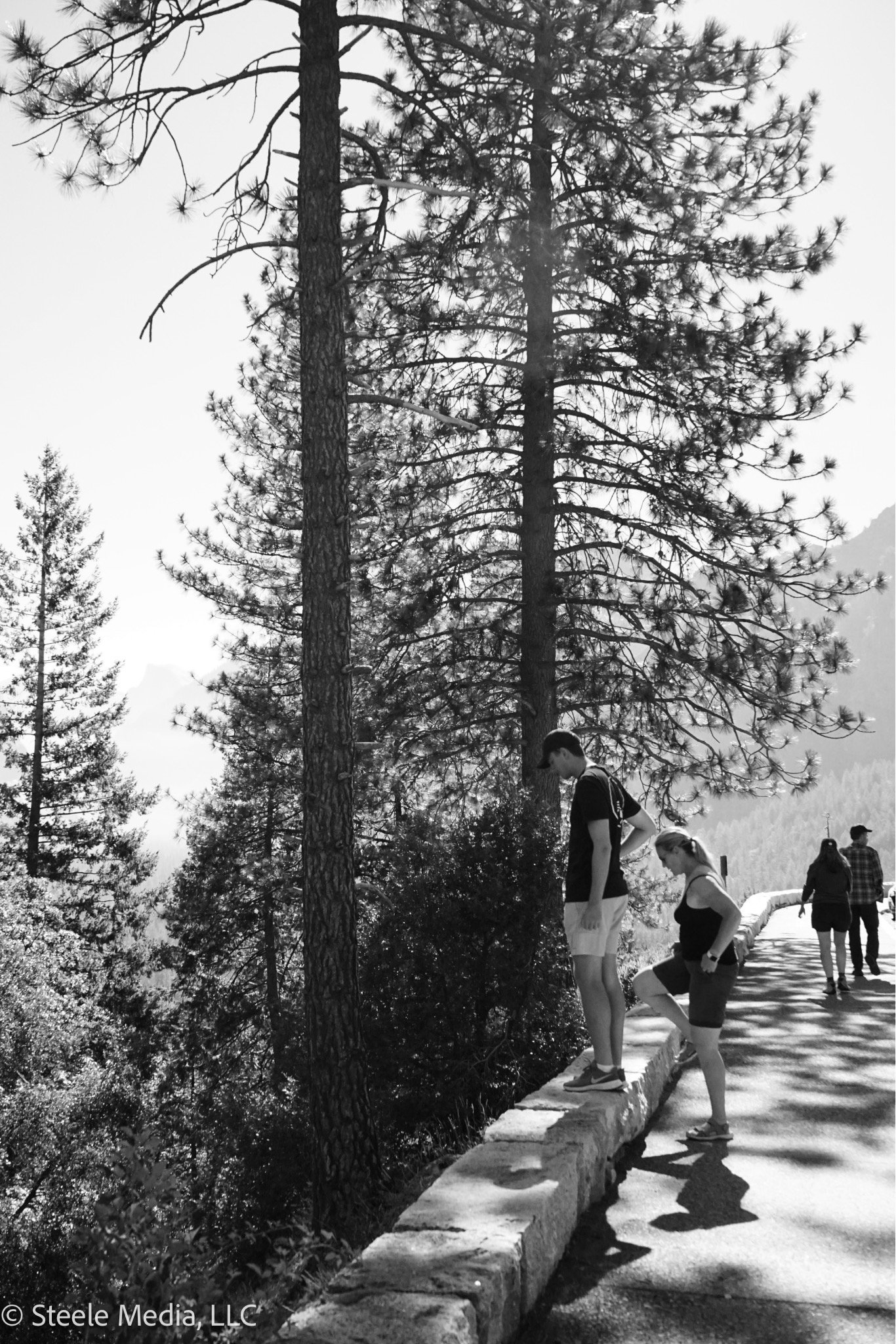 Two people standing and leaning on a stone wall along a nature trail surrounded by tall pine trees.