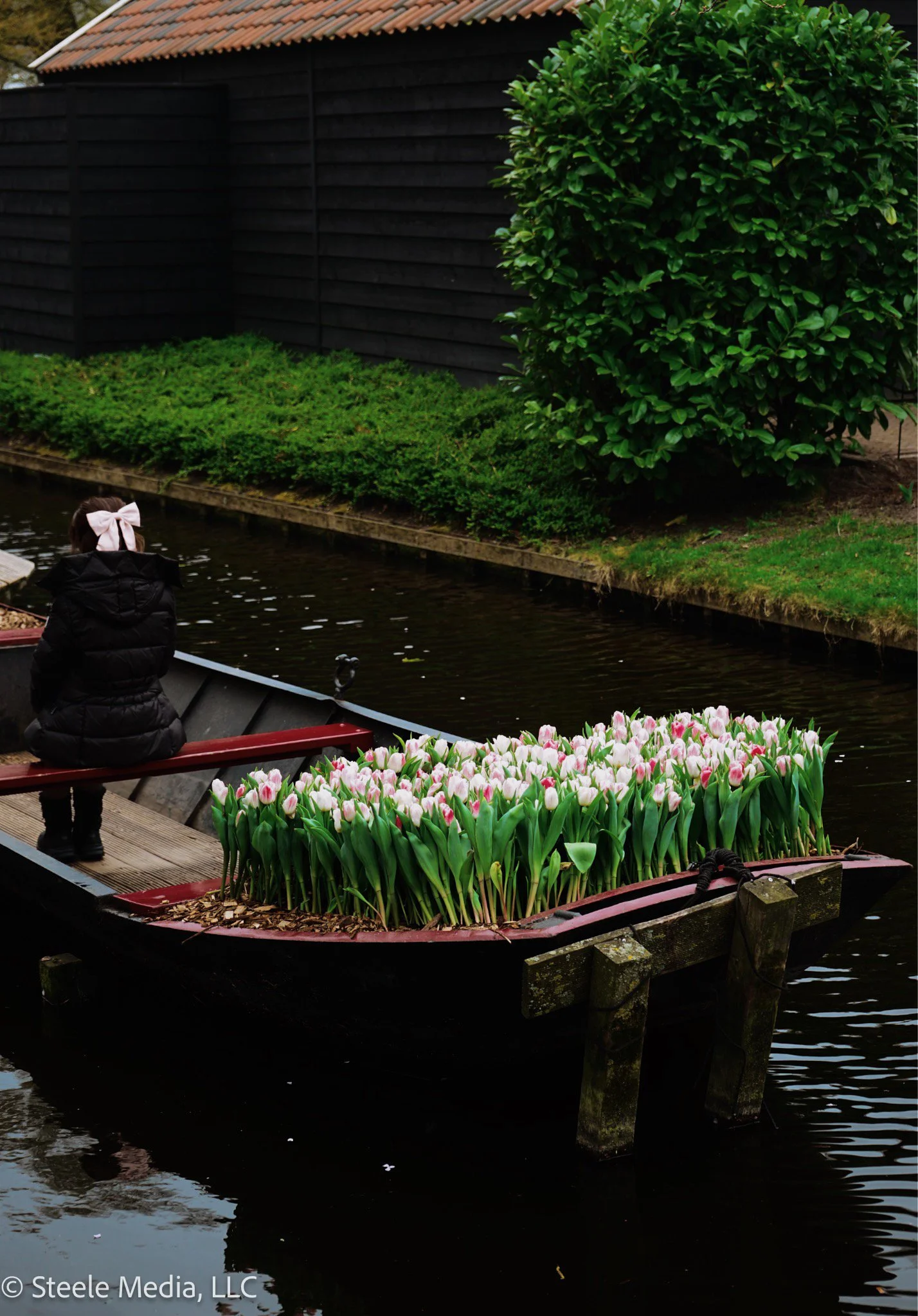 A young girl with a pink bow in her hair, dressed in a black coat, sitting on a boat decorated with pink and white tulips on a calm water canal. In the background, there is a black fence and lush green bushes.
