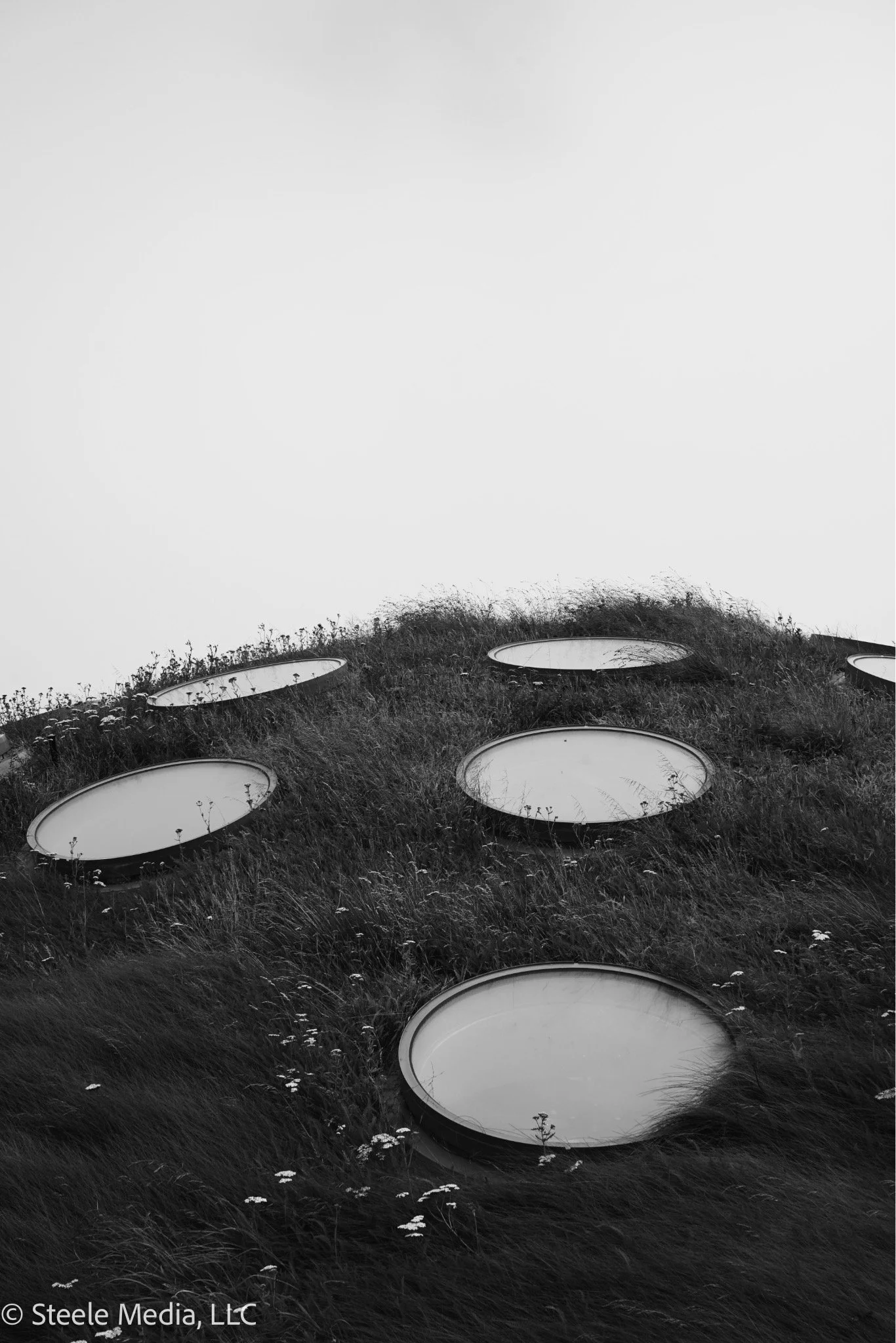 Six circular reflective surfaces embedded in a grassy hillside, with some flowers growing around them, captured in black and white.