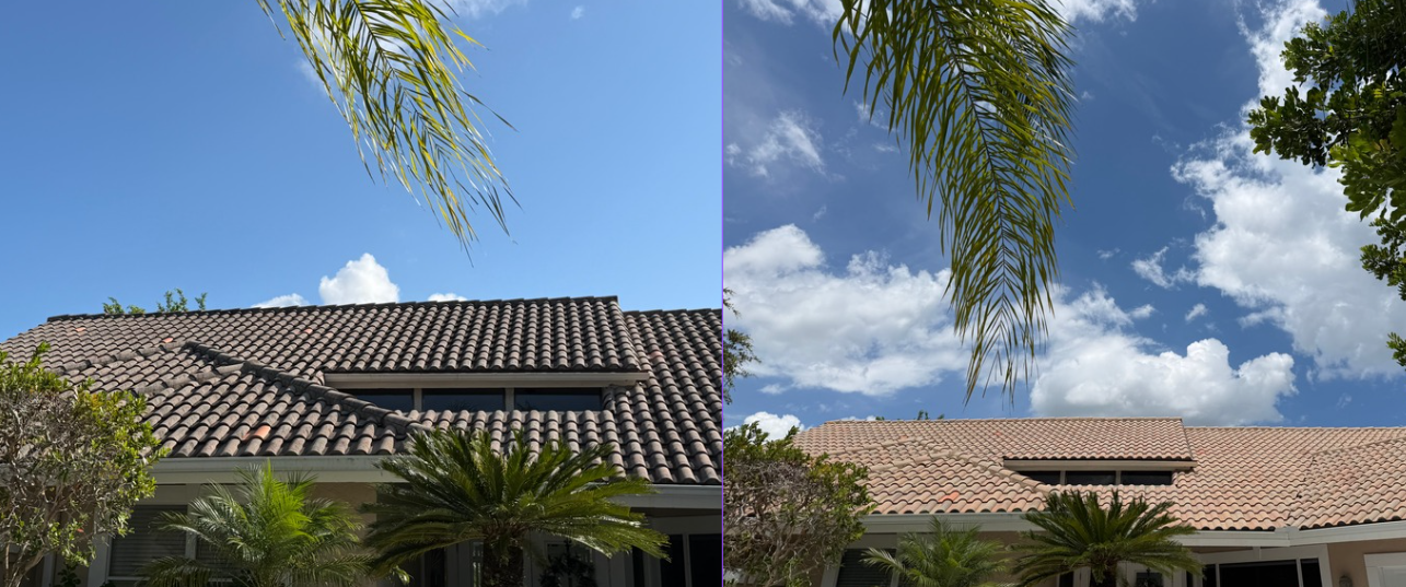 Comparison of two house roofs with palm trees and blue sky, left side showing a bright sky with some clouds, right side showing mostly cloudy sky.