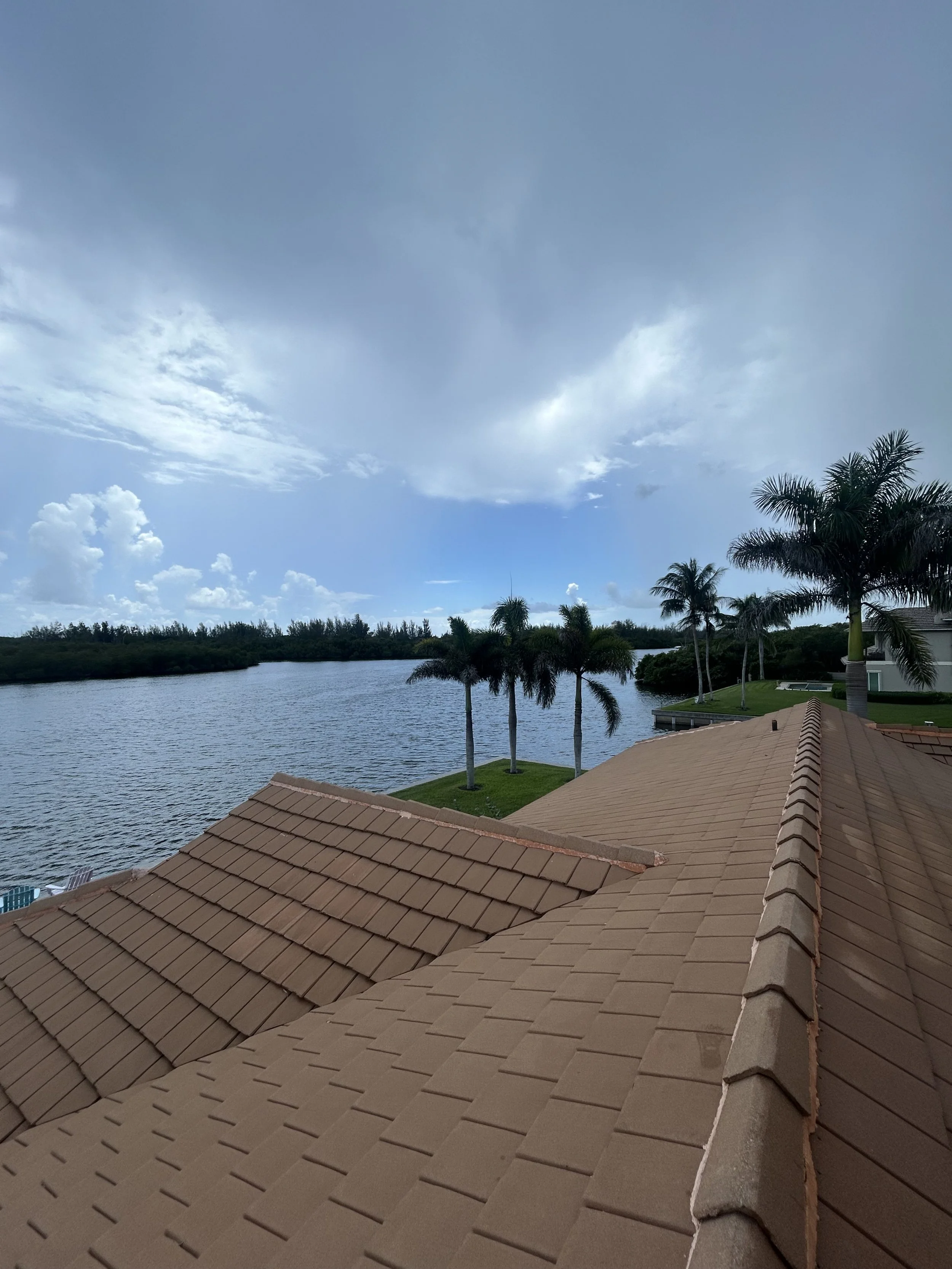 View of house roof with tan tiles, a lakeside landscape, and palm trees, under a partly cloudy sky.